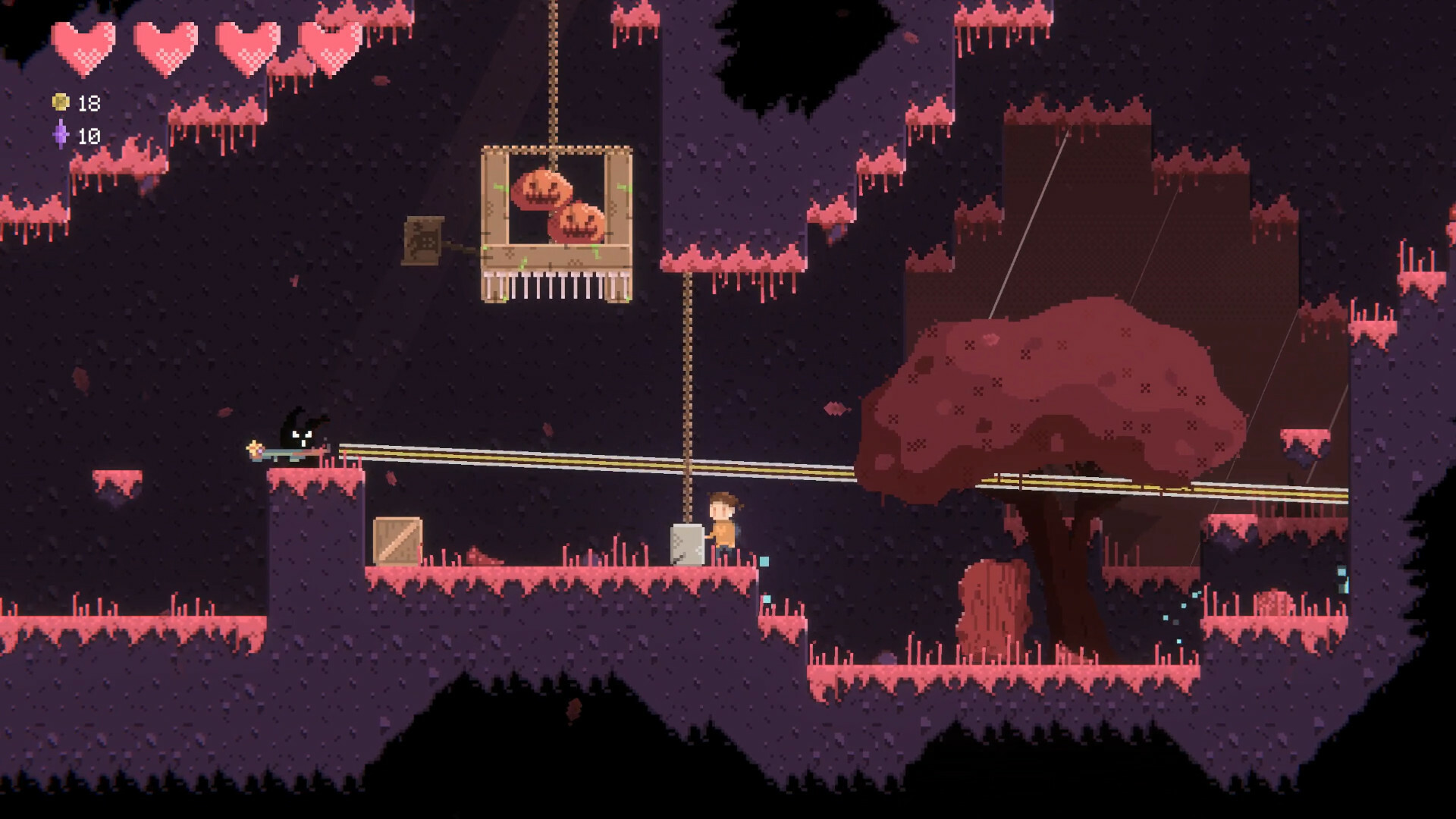 Meowphoria screenshot 8