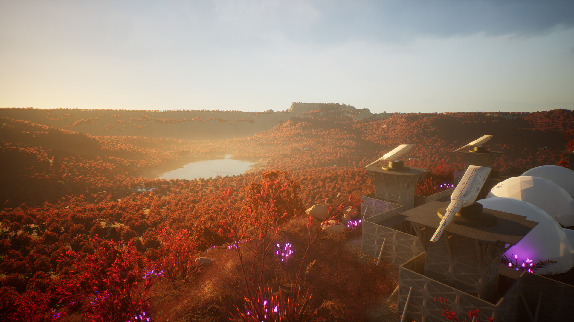 Beetle Nest screenshot 14