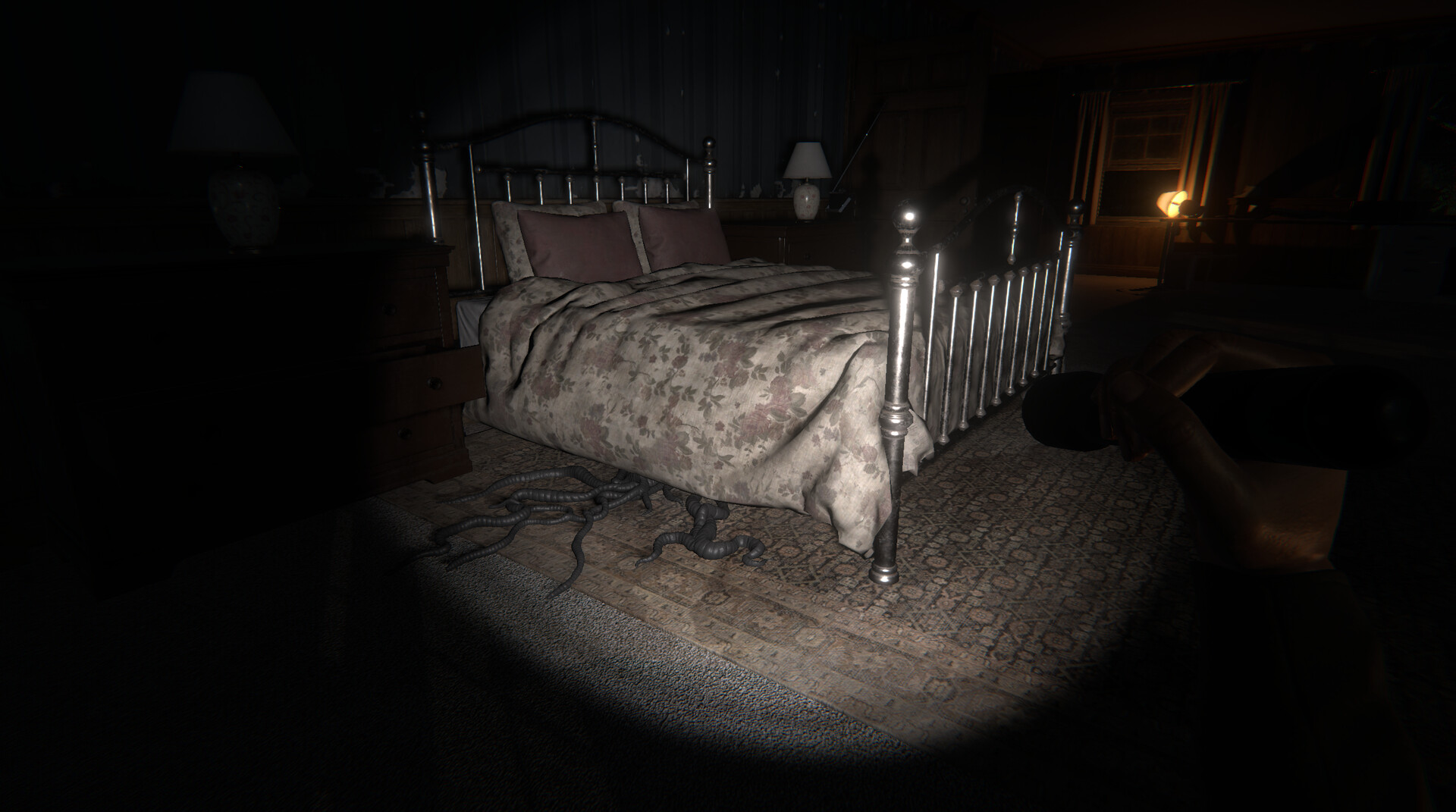 The Echo Paradox screenshot 5