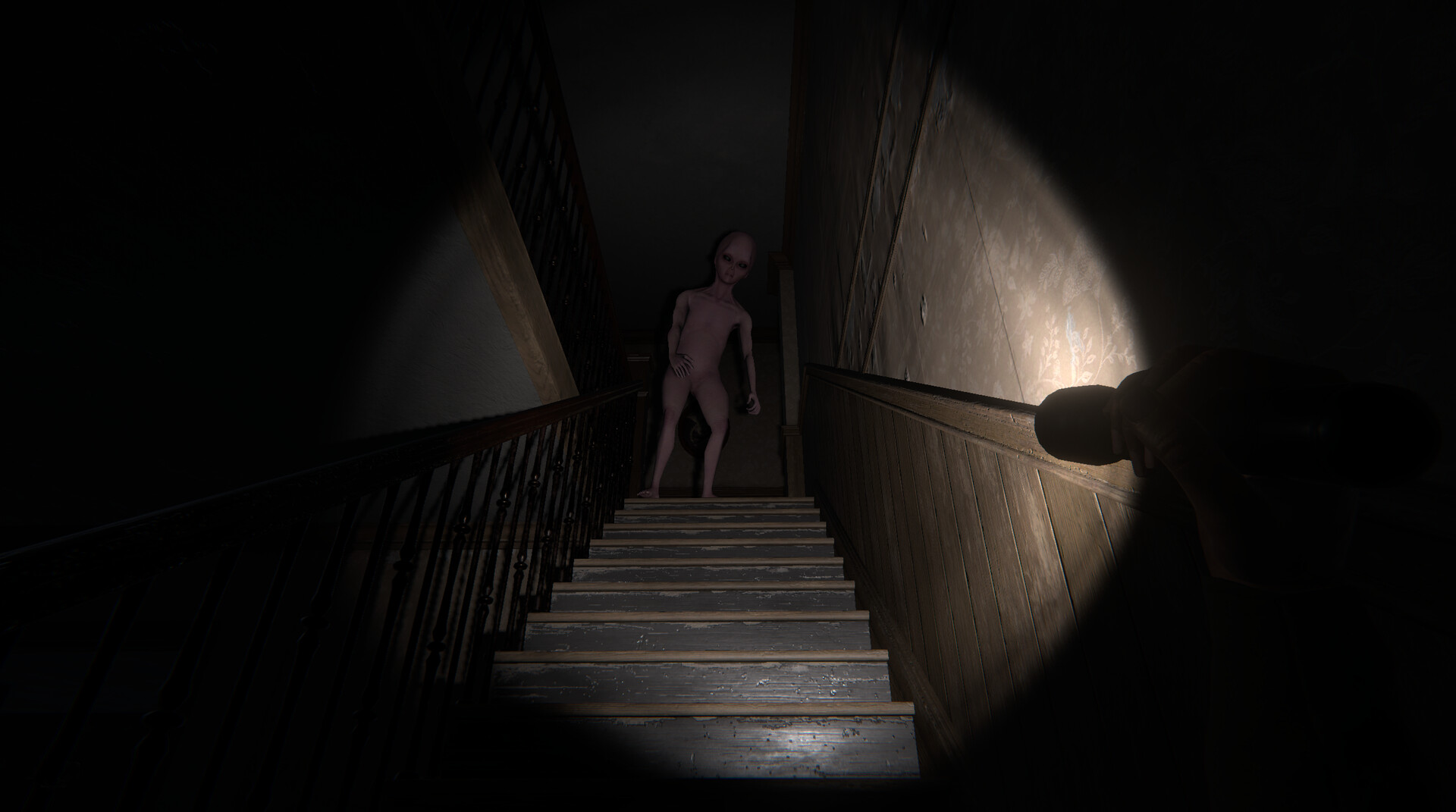 The Echo Paradox screenshot 1