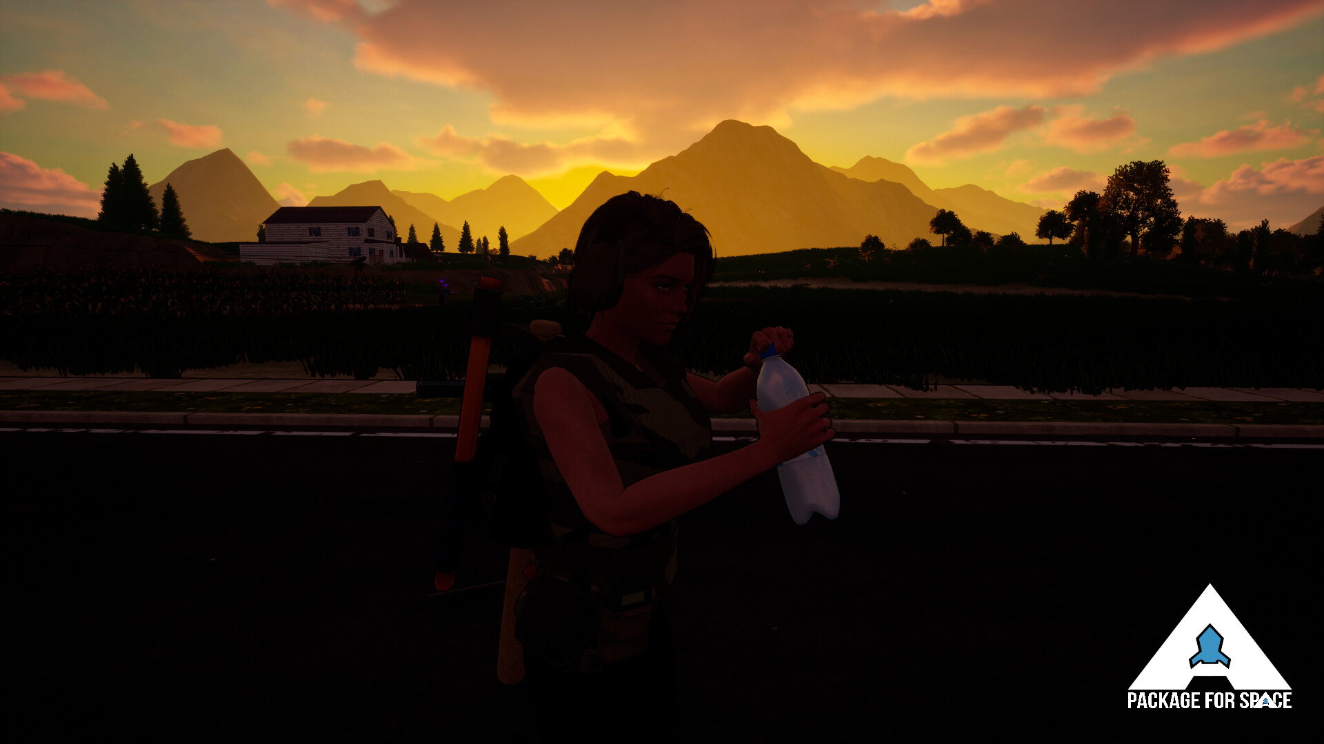 A Package For Space screenshot 8