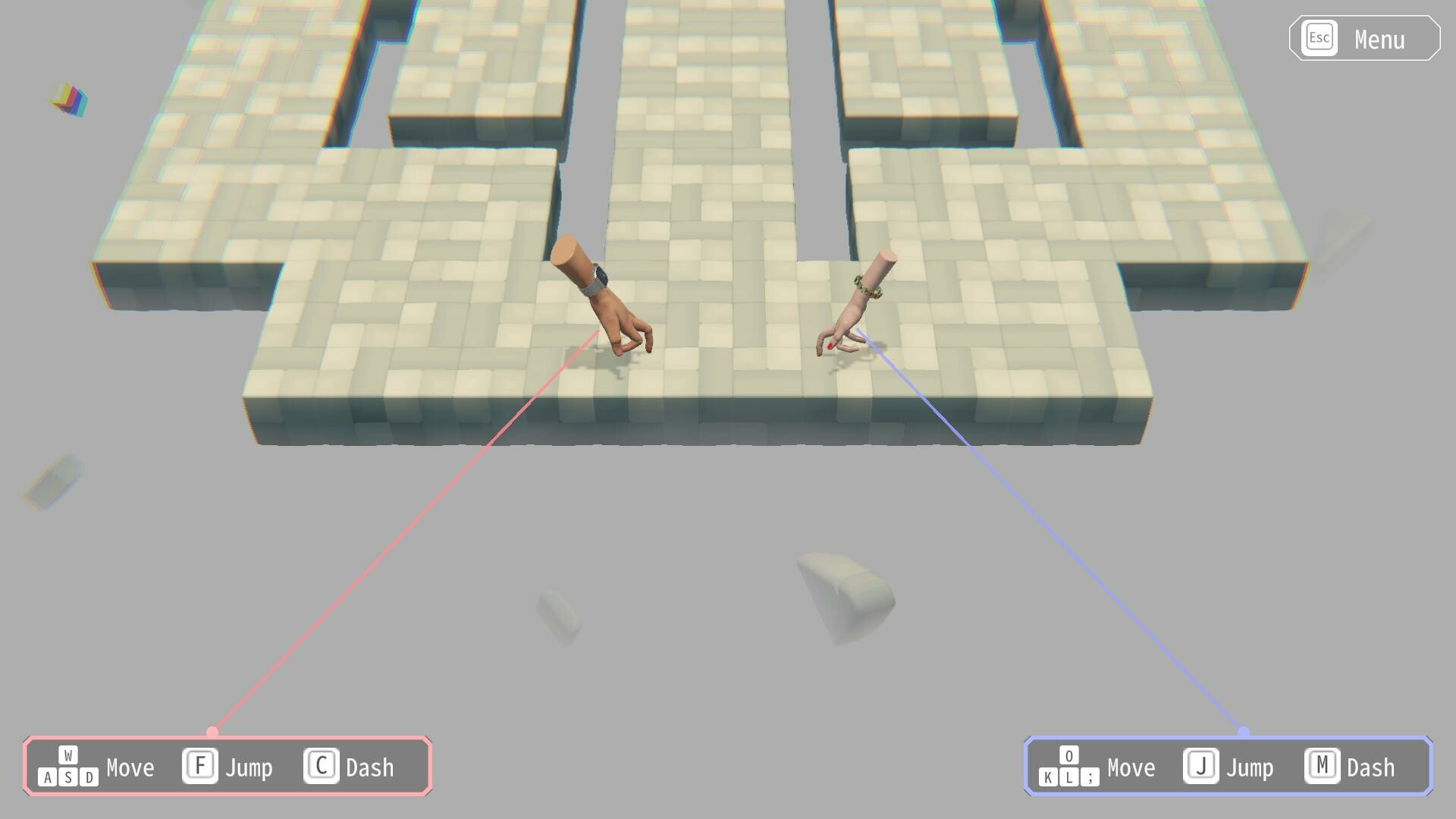 Hypotheses on the Symmetry between Vision and Hands screenshot 1