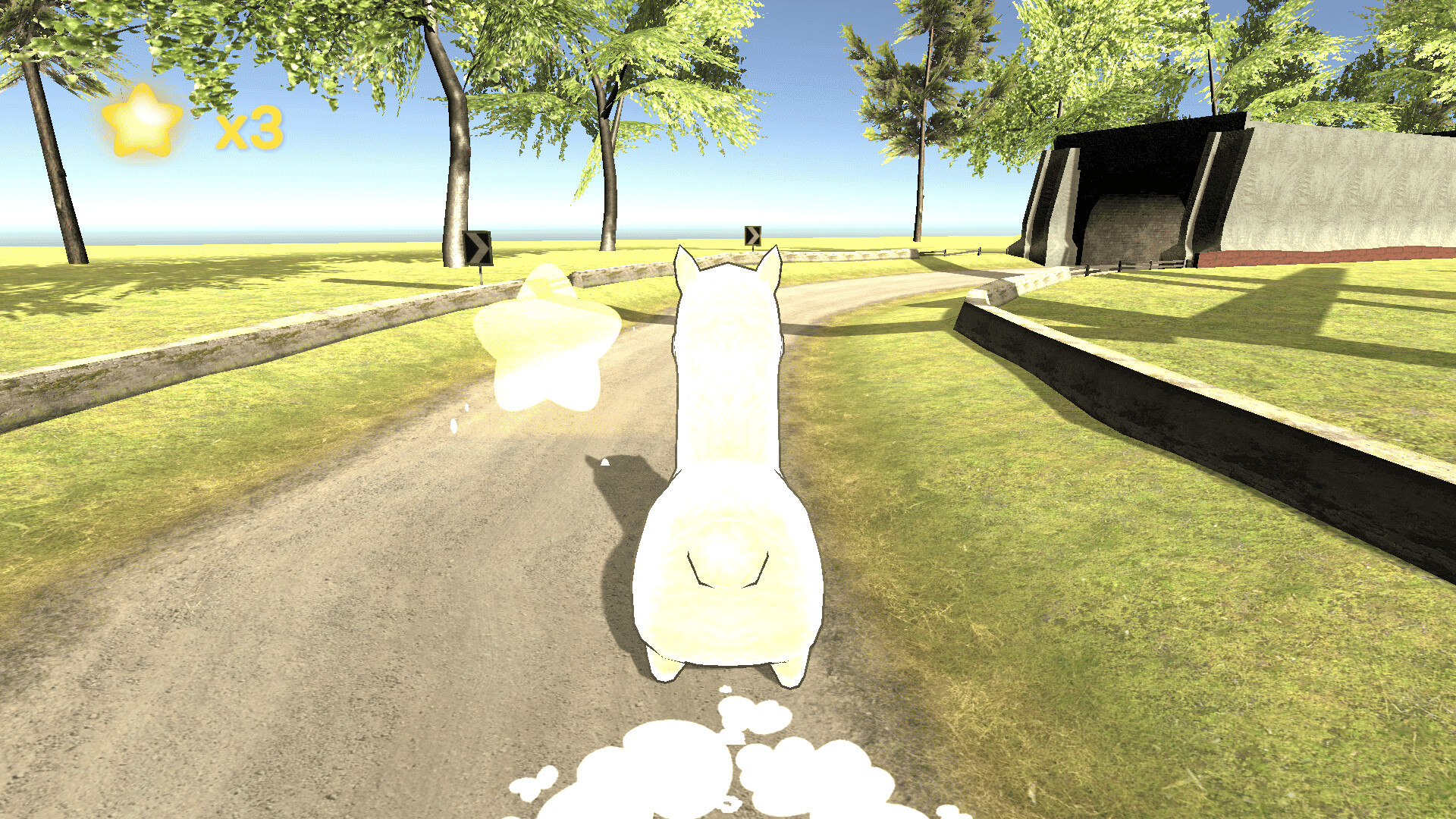 Animal Race Party screenshot 9