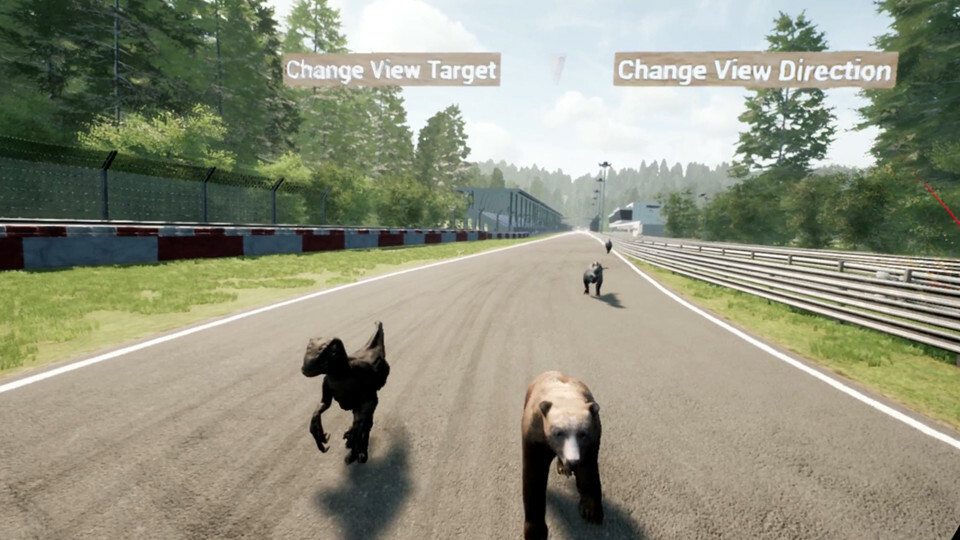 Animal Race Run VR screenshot 9