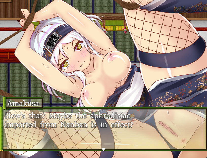 Ninja Infiltration screenshot 5