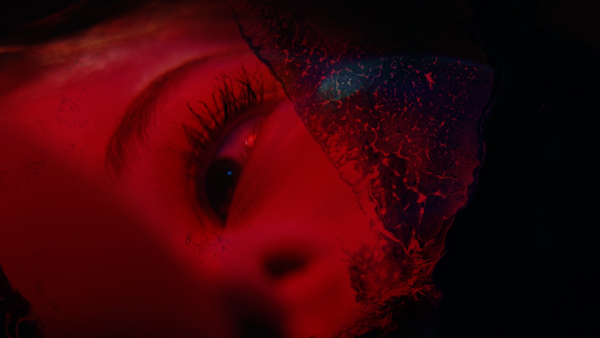 PRECOGNITION screenshot 5