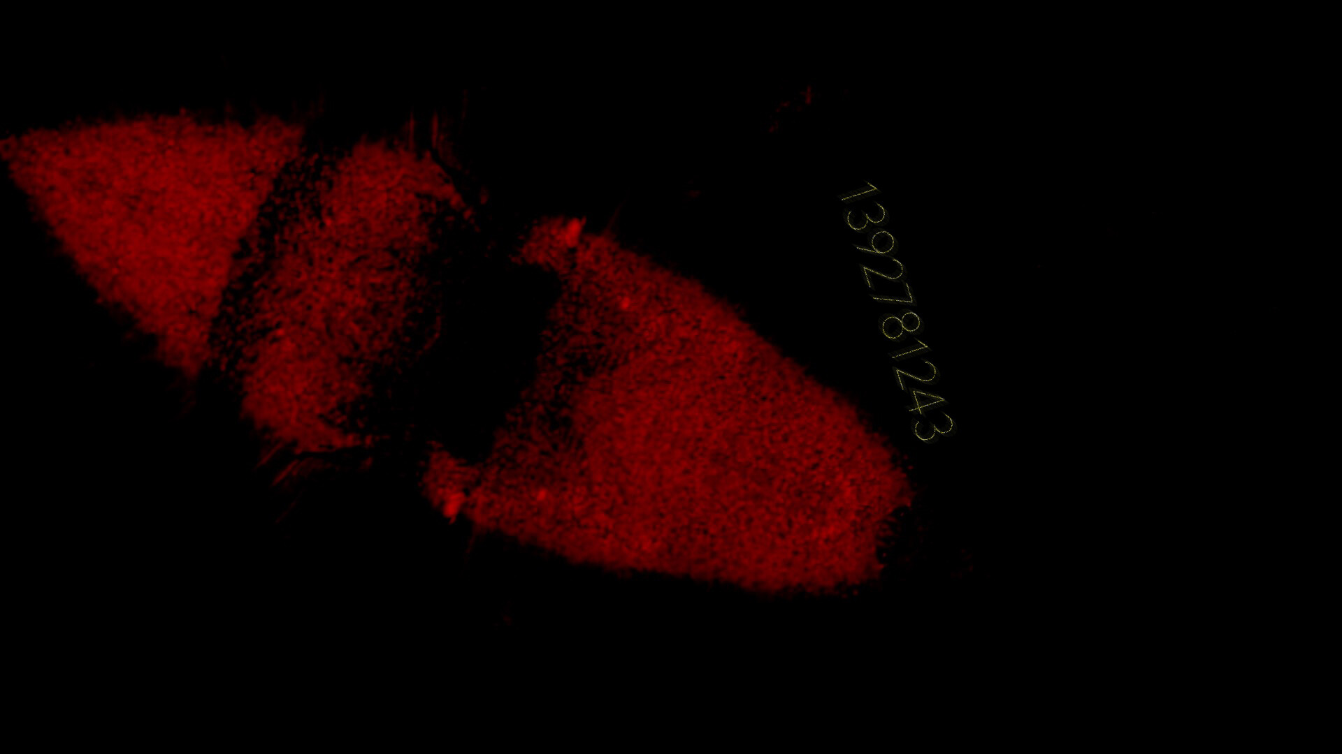 PRECOGNITION screenshot 3