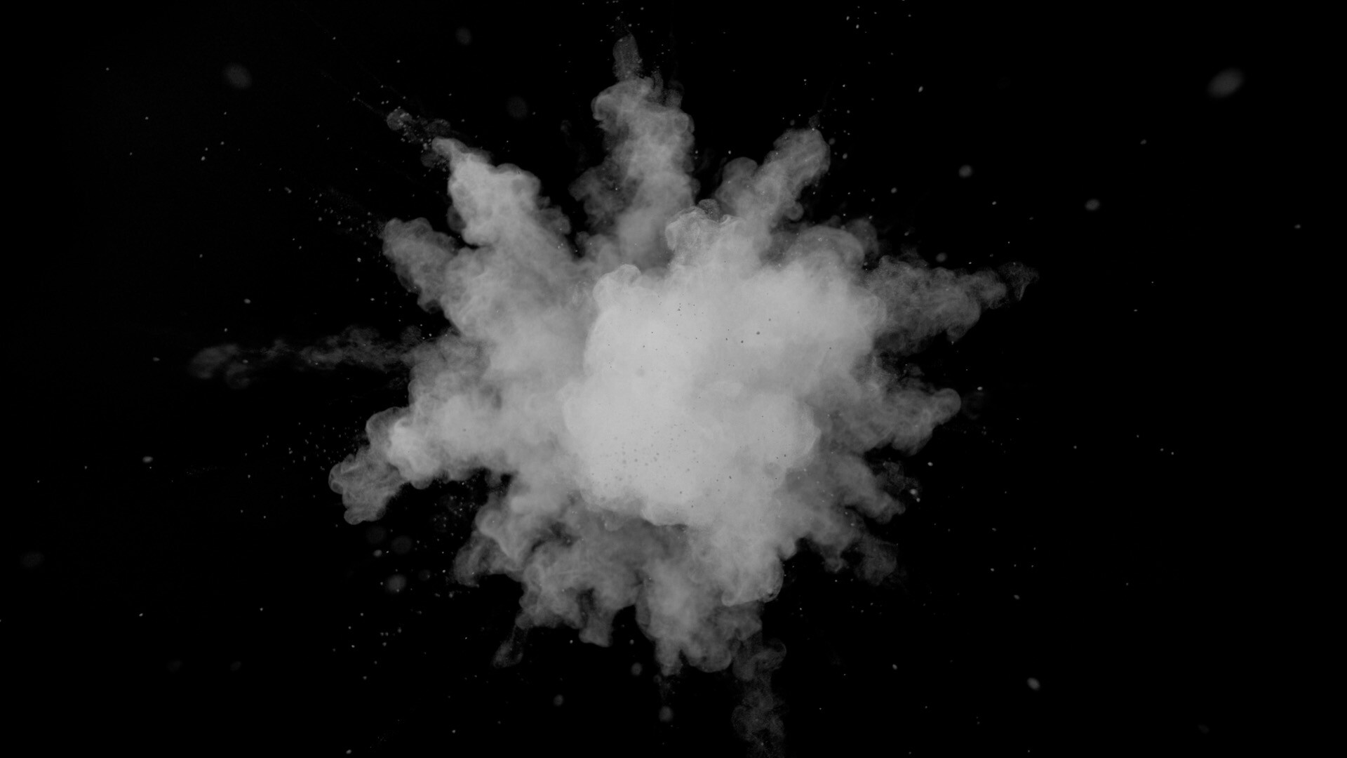 PRECOGNITION screenshot 2