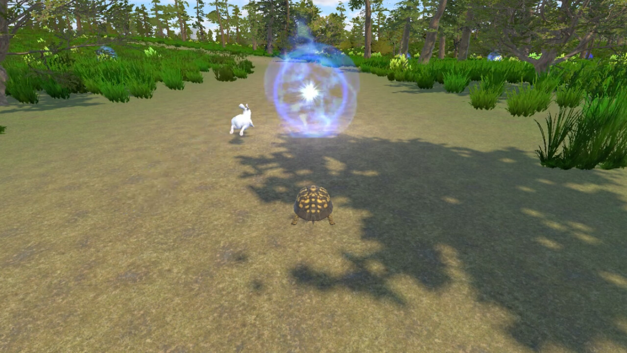Rabbit and Turtle screenshot 1