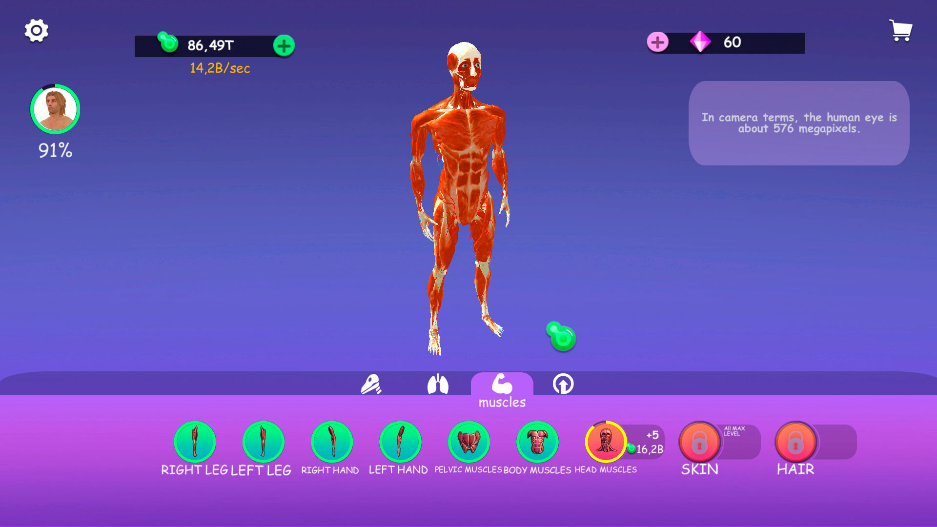 IDLE Animal Anatomy screenshot 4