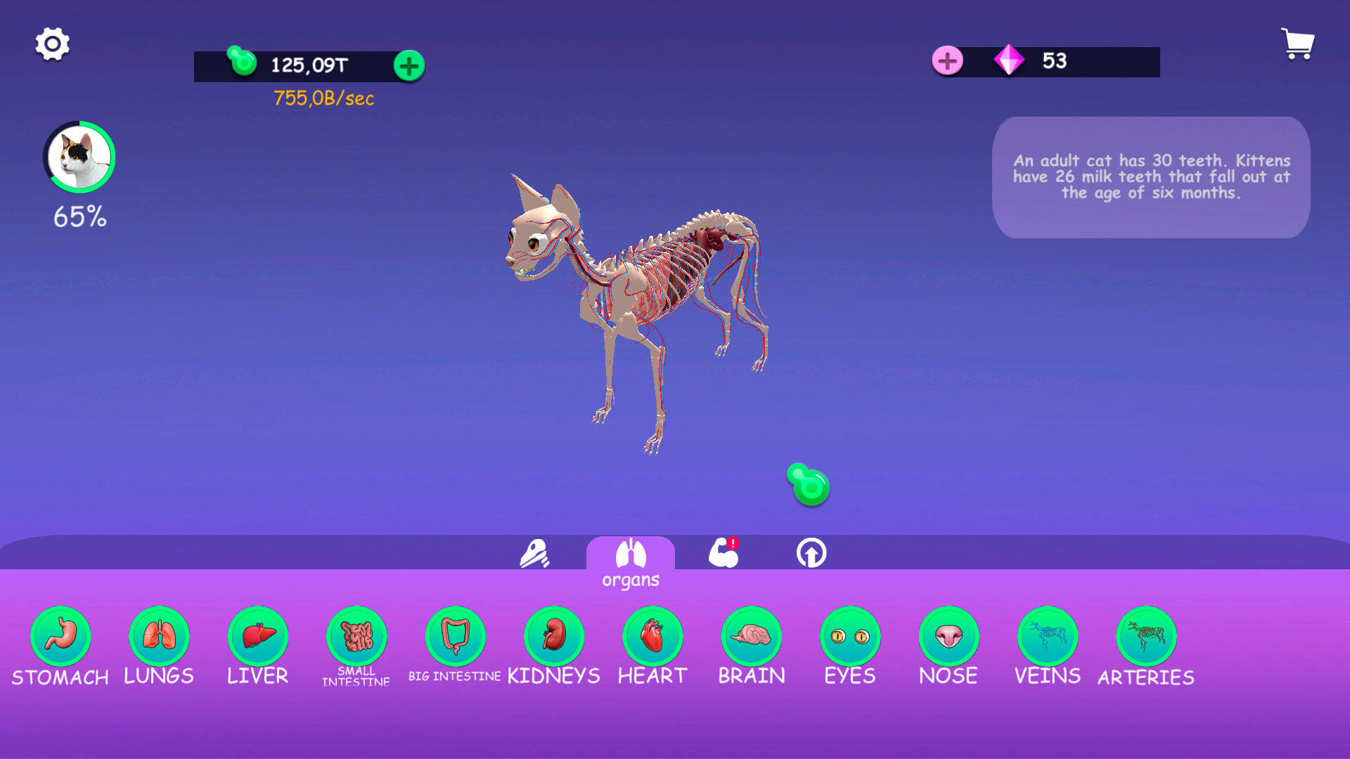 IDLE Animal Anatomy screenshot 1