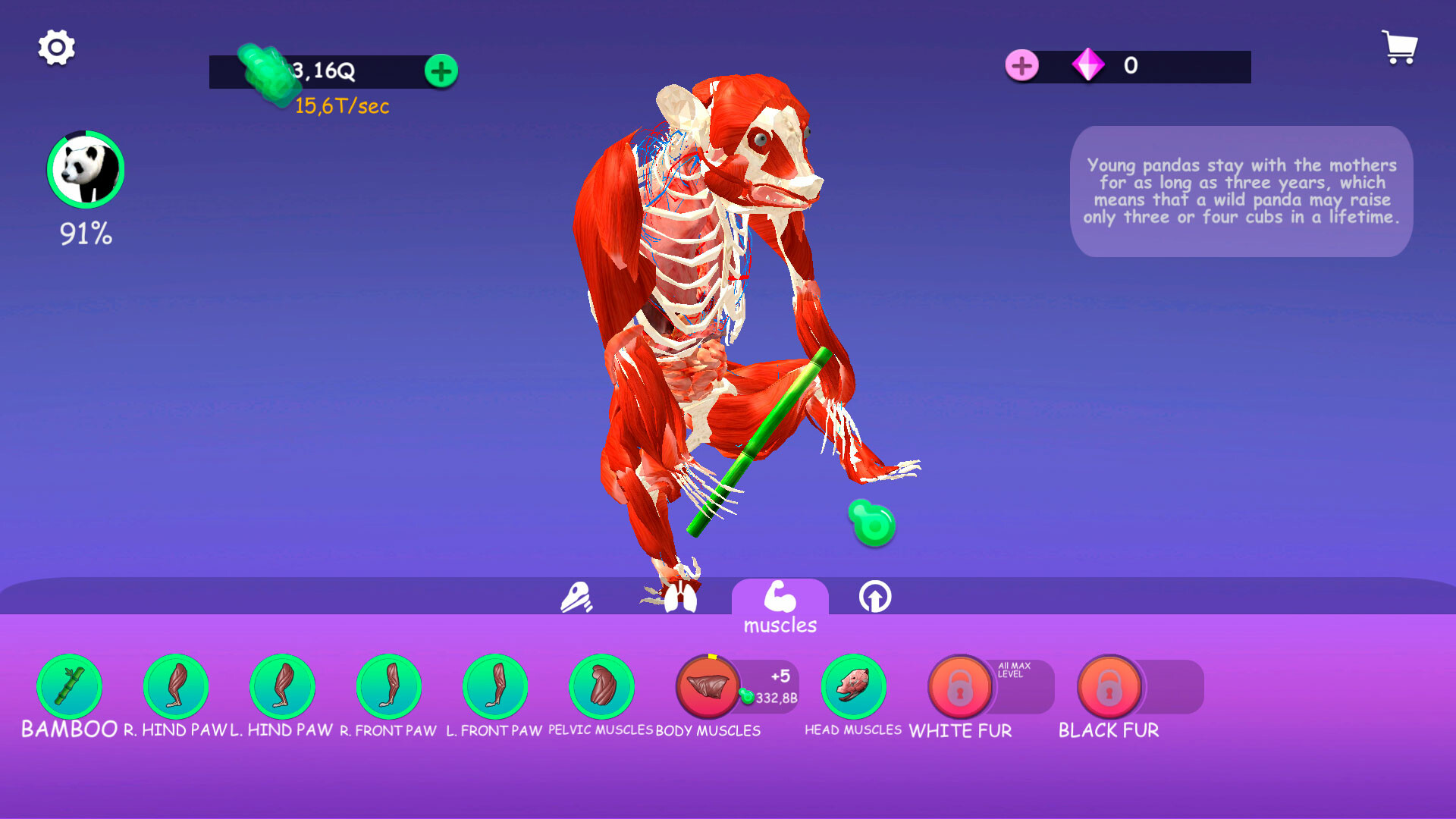 IDLE Animal Anatomy screenshot 2