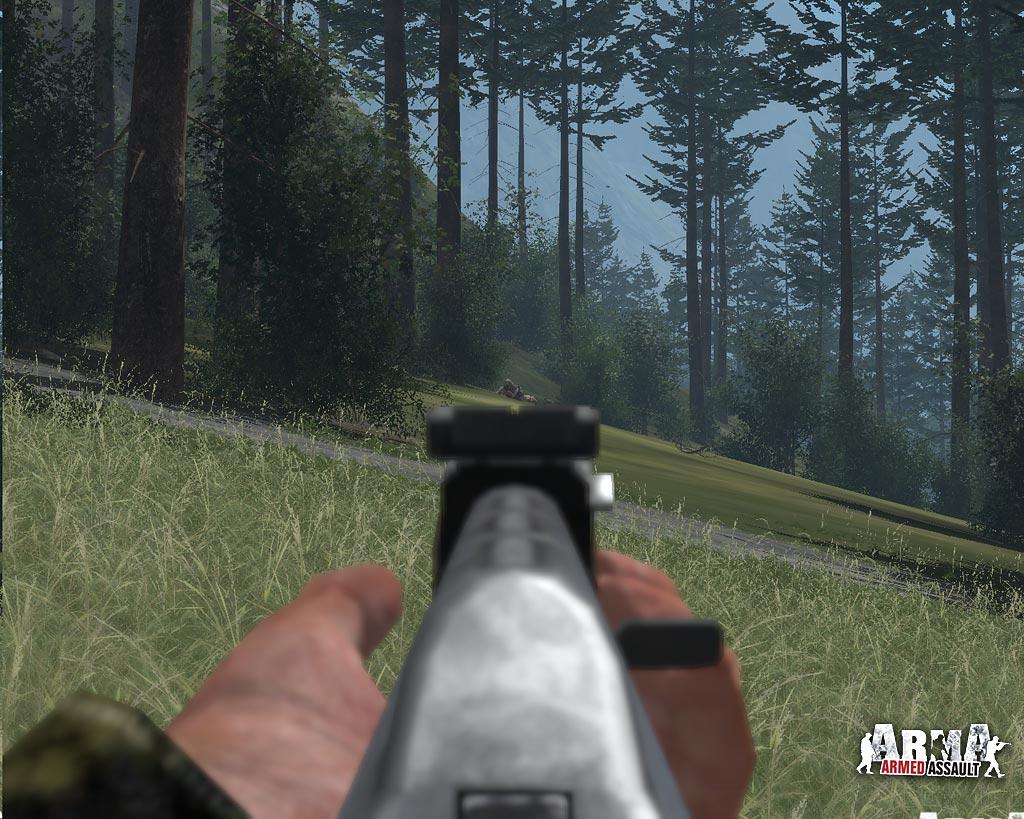 ARMA: Combat Operations screenshot 17
