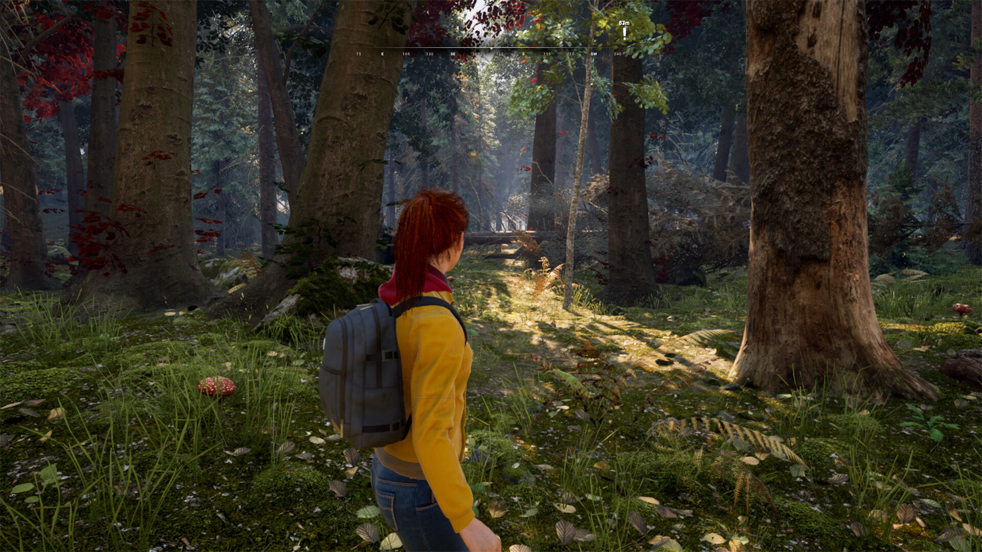 ORIENTIR screenshot 5
