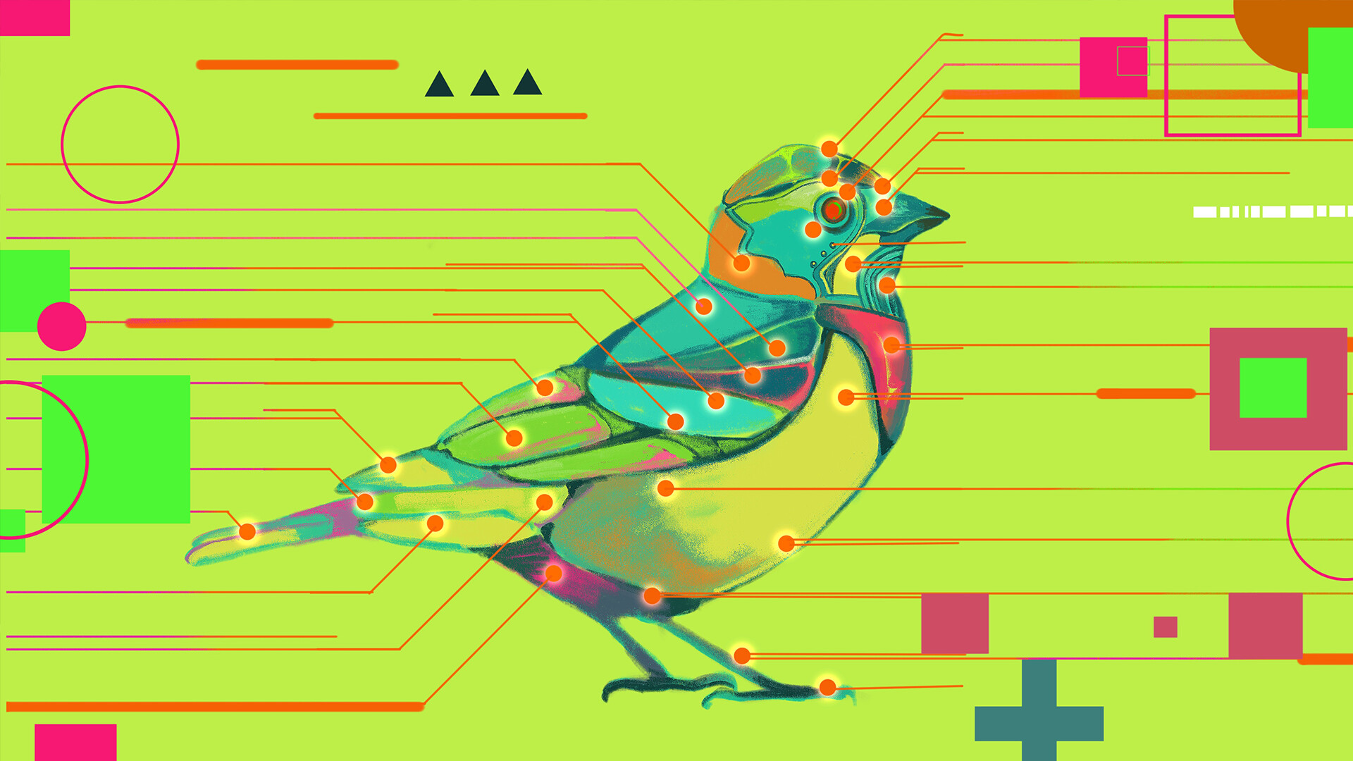 Avian Enigma screenshot 1