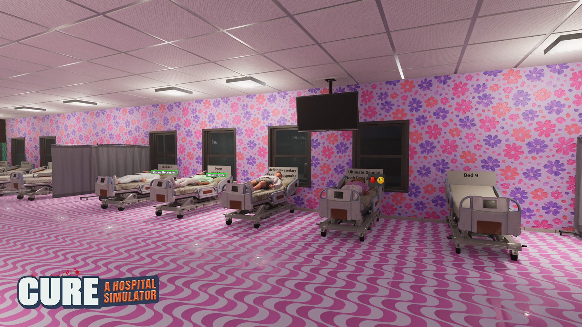 CURE - A Hospital Simulator screenshot 12
