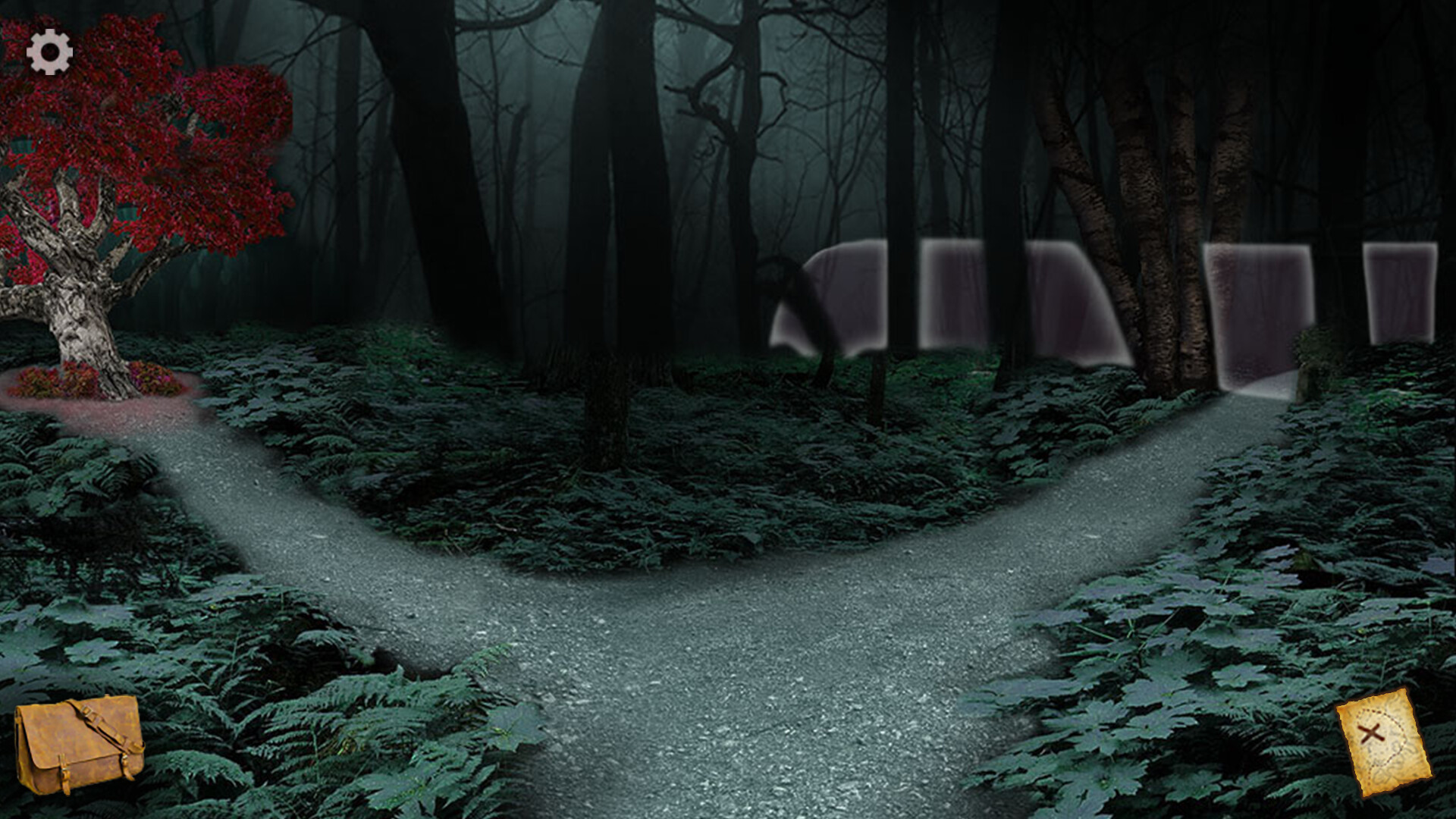 The Mystery of Blackthorn Castle 2 screenshot 4