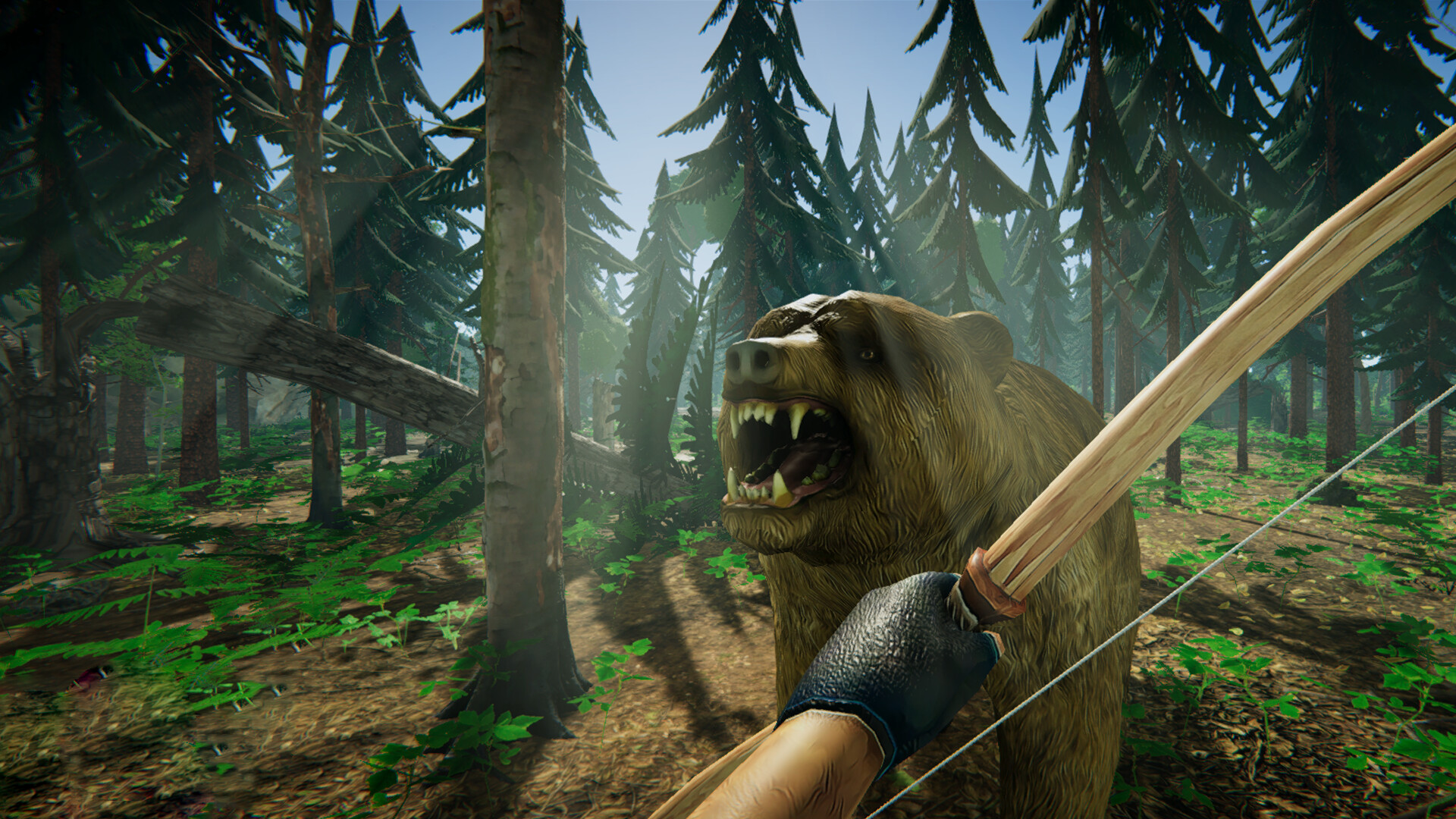 Category 6 screenshot 1