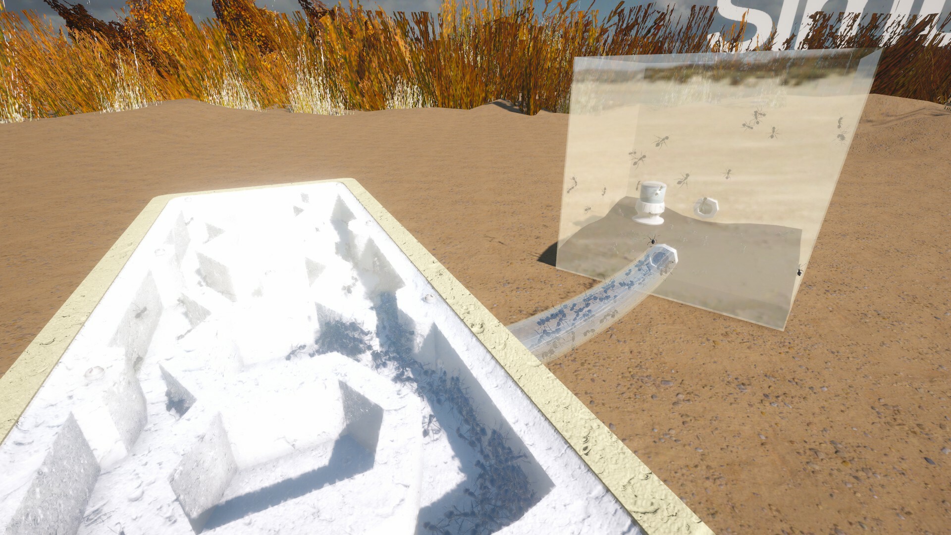 Ant Keeping Simulator screenshot 6