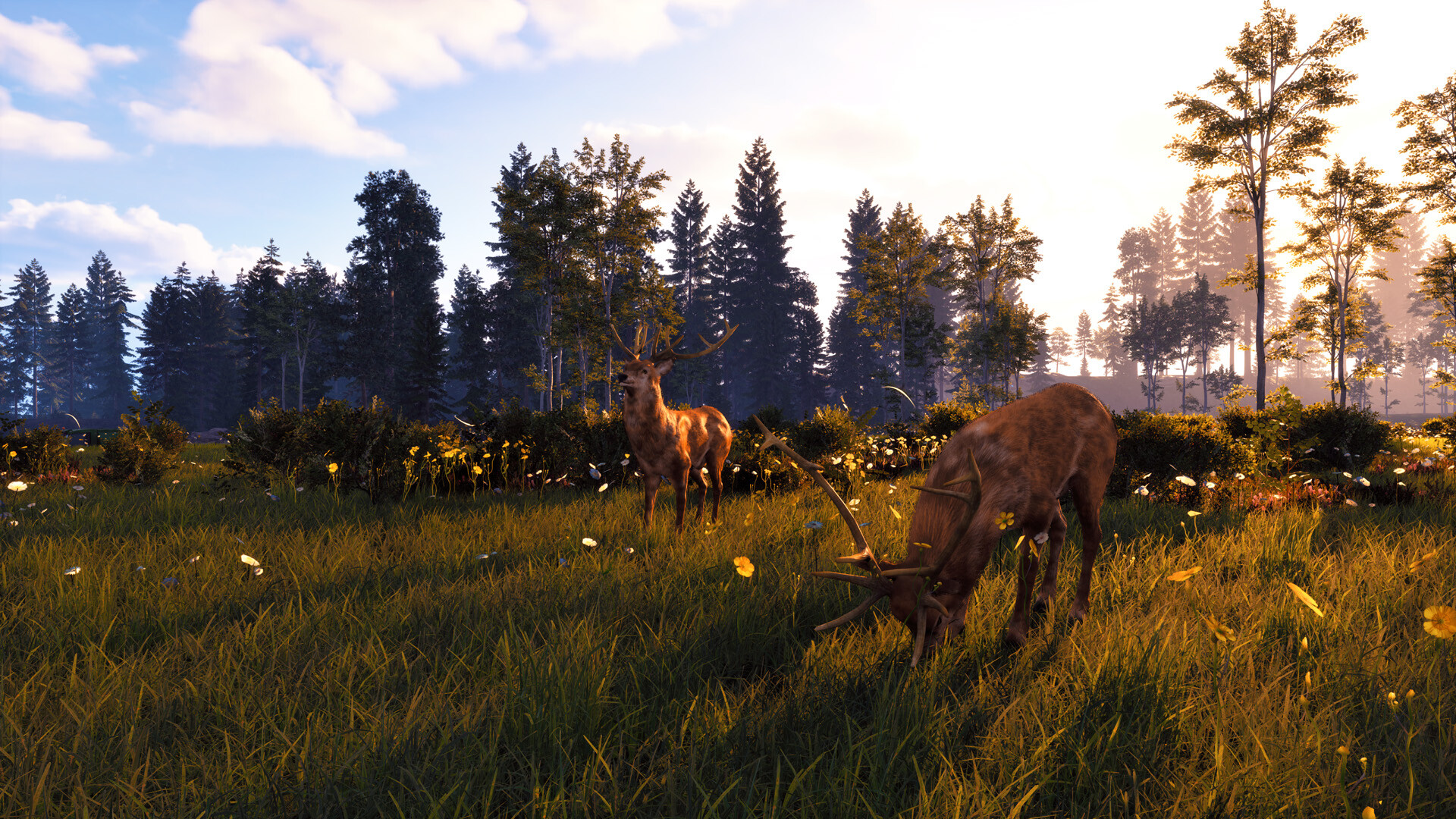 Windstorm: Start of a Great Friendship - Remastered screenshot 3