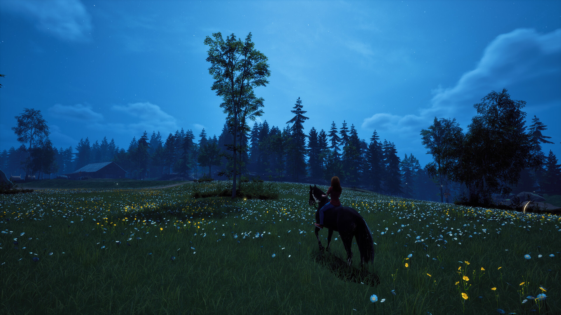 Windstorm: Start of a Great Friendship - Remastered screenshot 2