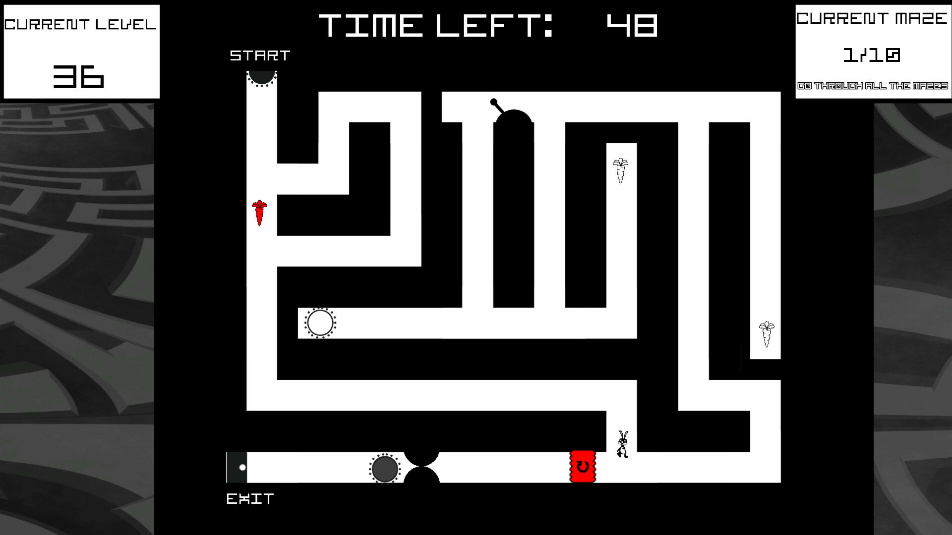 Bunny Mazes screenshot 3
