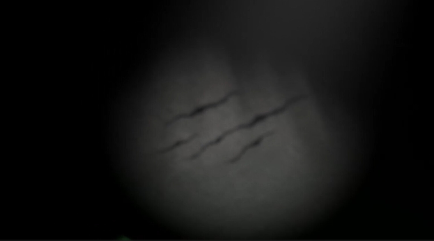 Somnium Tenebris screenshot 1