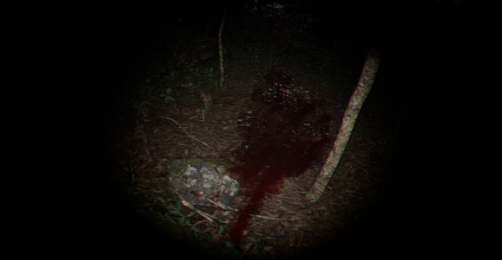 Playback Trauma®: The Dog screenshot 6
