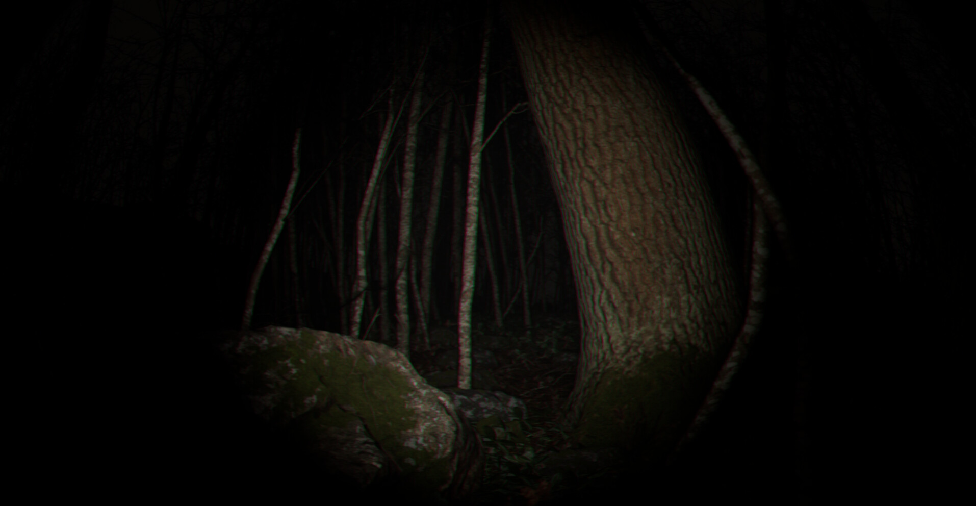 Playback Trauma®: The Dog screenshot 4