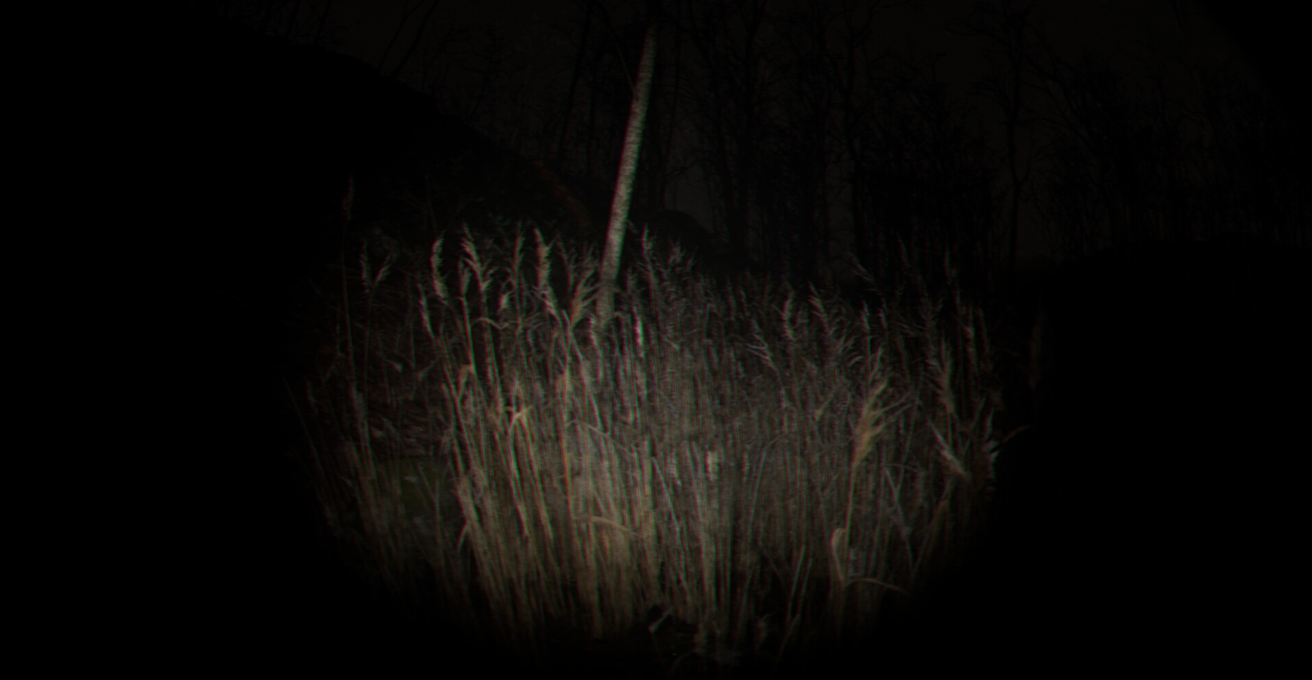 Playback Trauma®: The Dog screenshot 5
