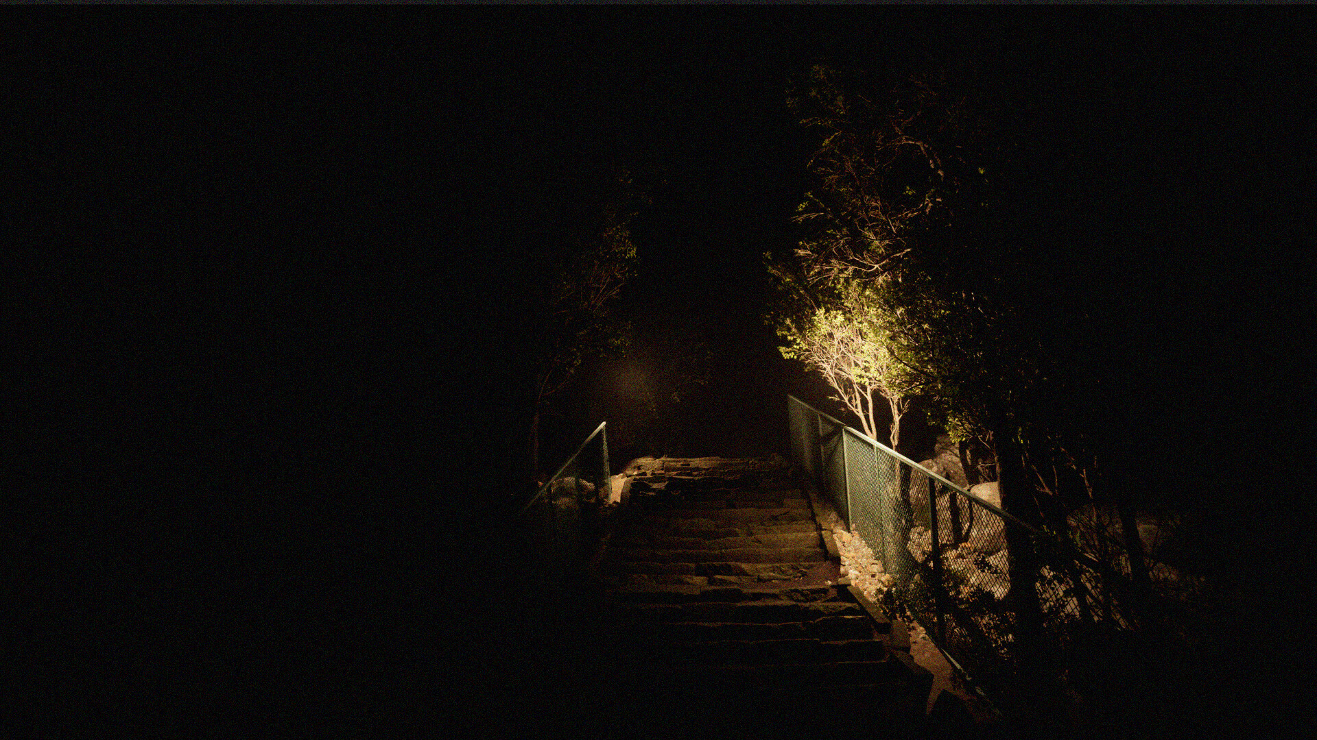 The Realm screenshot 3