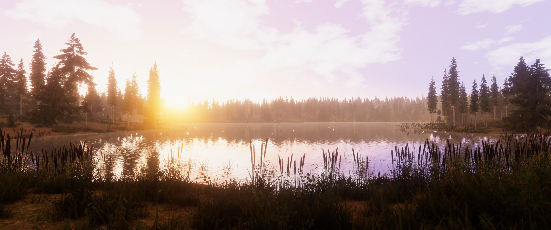 CAMPS screenshot 11