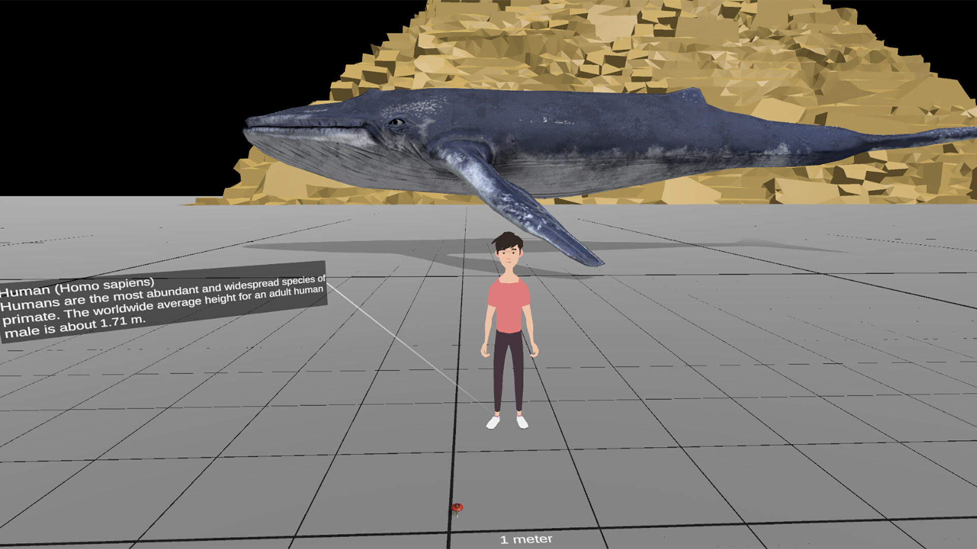 Universe Size Comparison VR screenshot 1