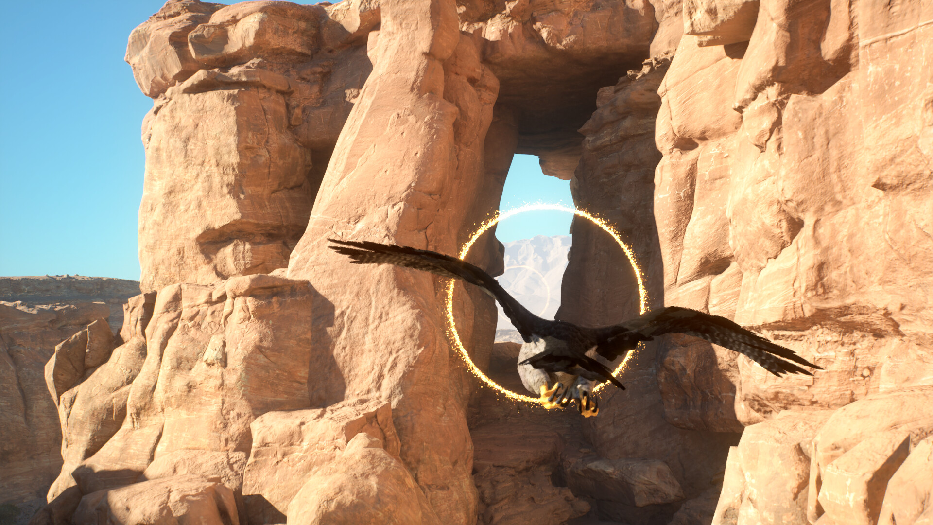 Enter Falconry screenshot 4