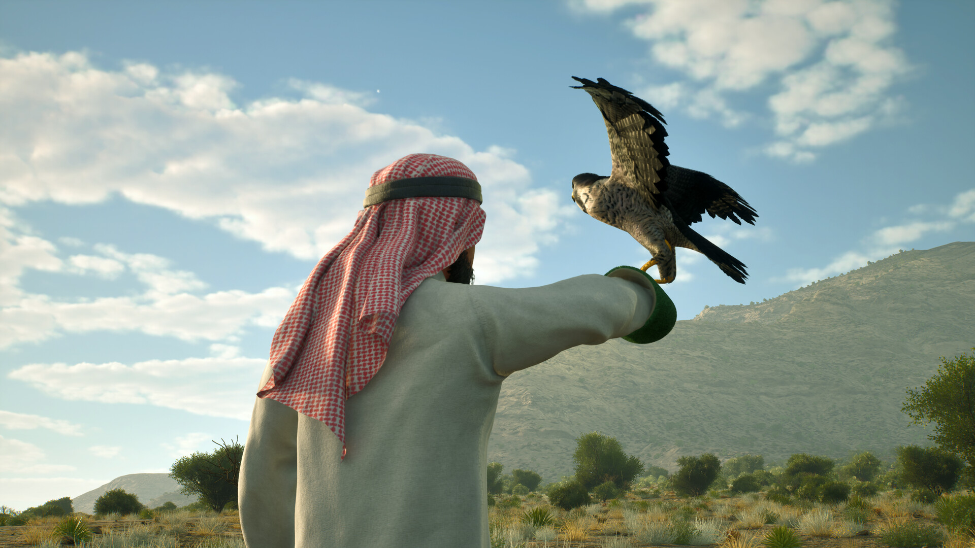 Enter Falconry screenshot 2