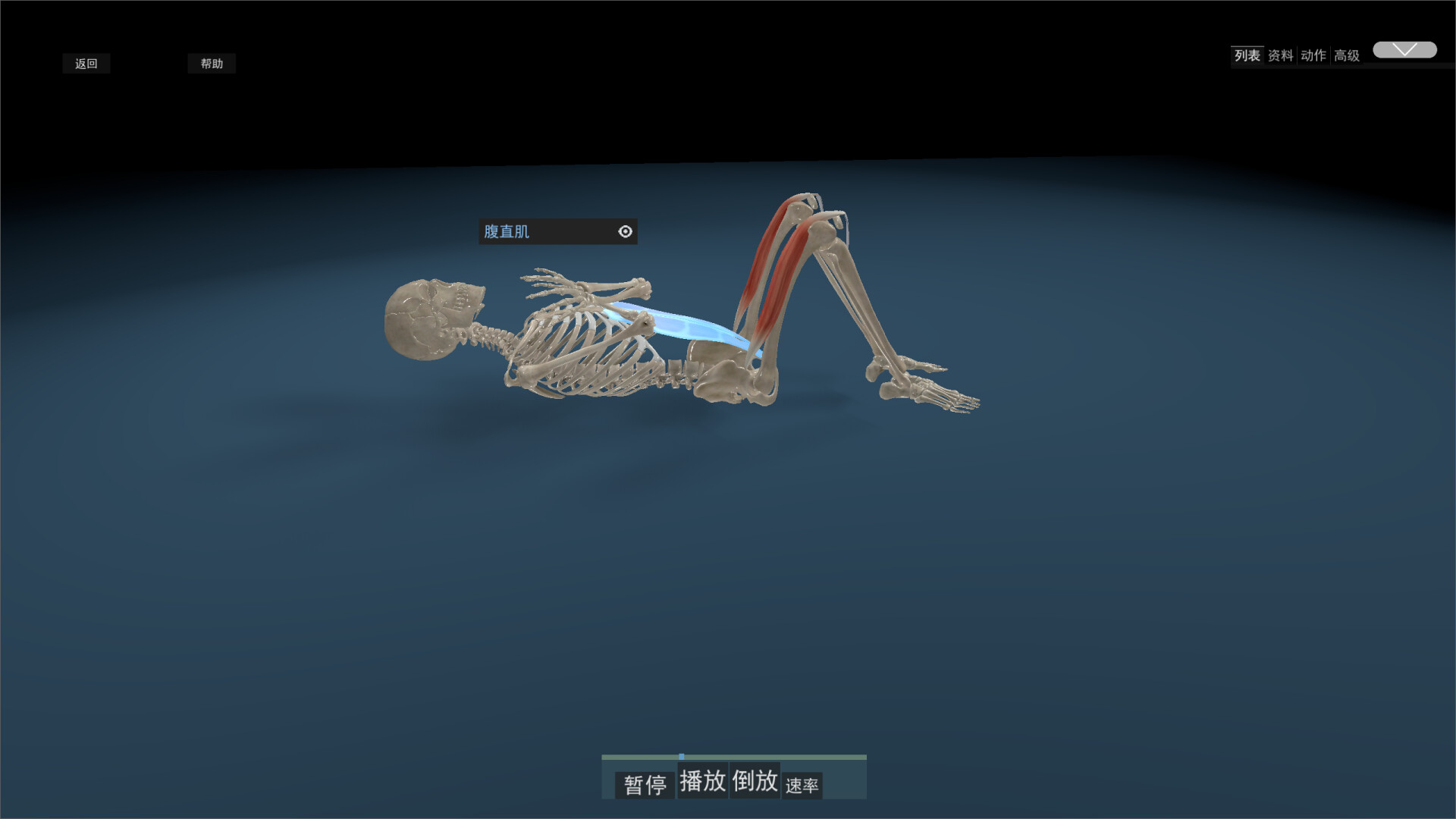 Kinetic Anatomy 3D screenshot 2
