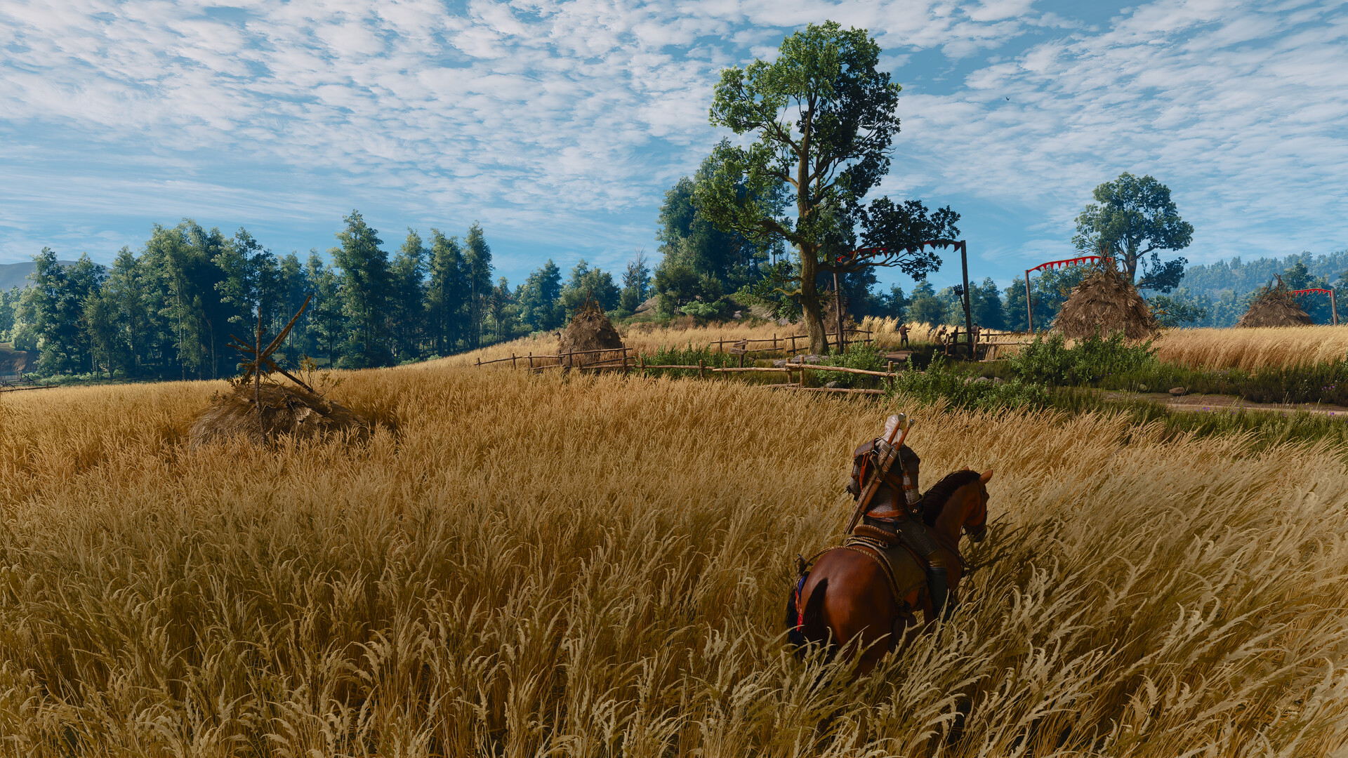 The Witcher 3: Wild Hunt — Remastered screenshot 17