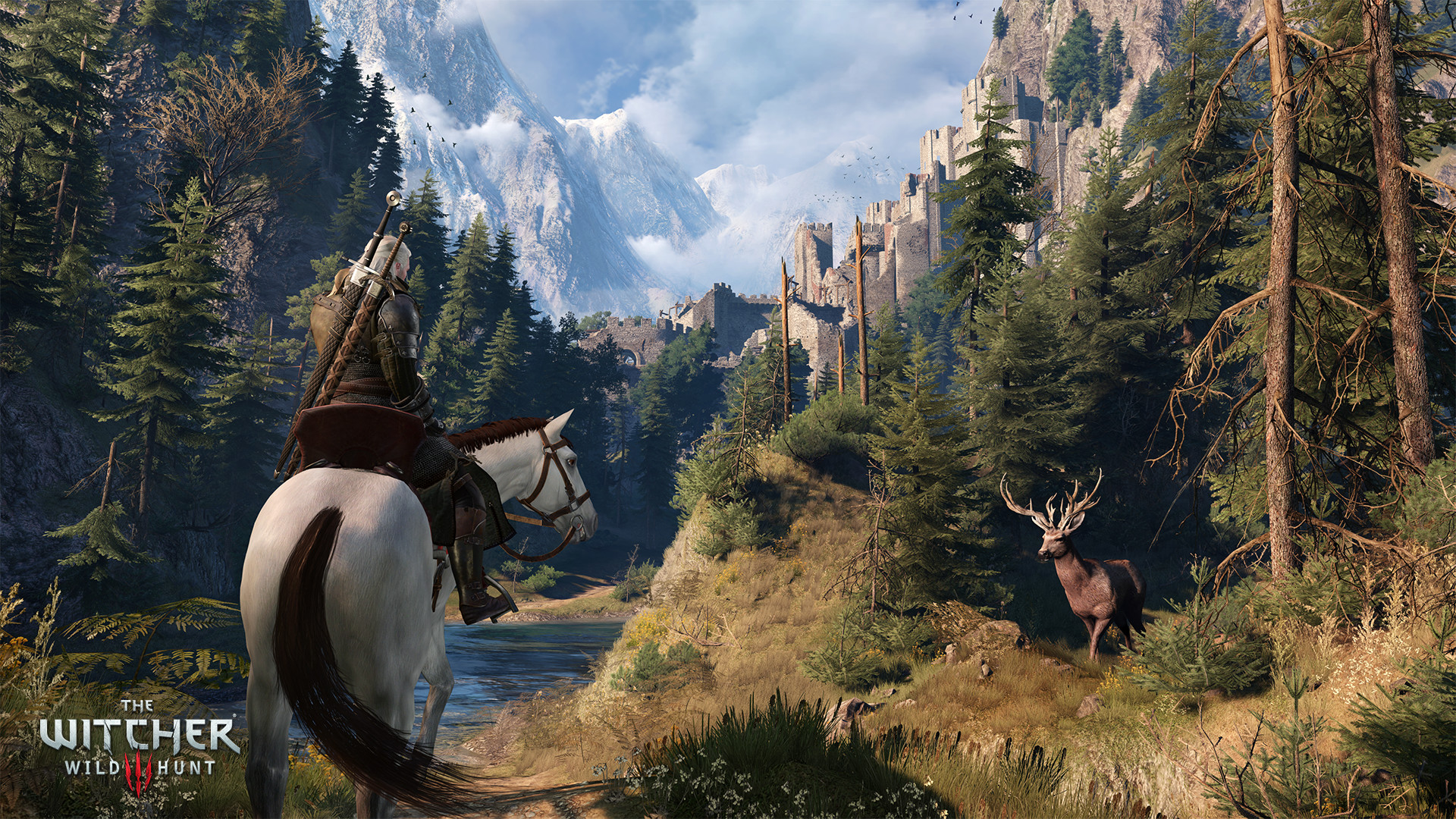 The Witcher 3: Wild Hunt - Complete Edition screenshot 17