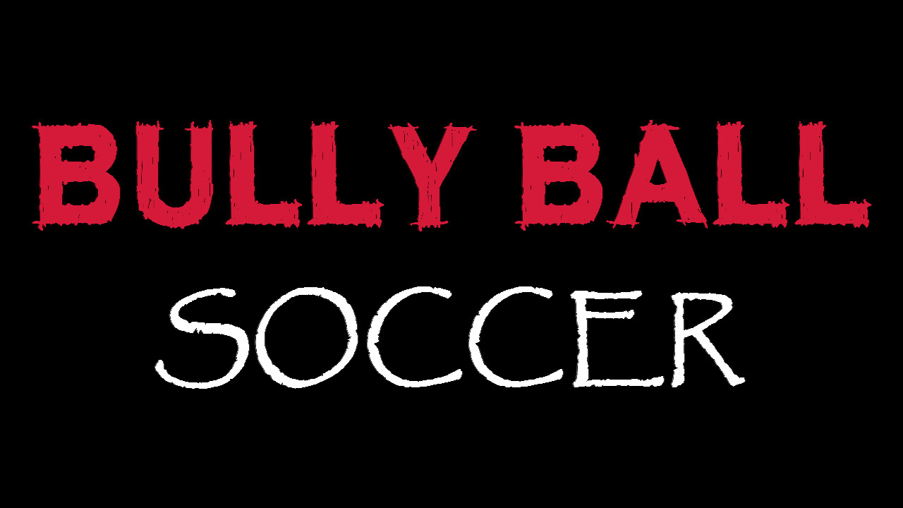 Bully Ball Soccer Playtest screenshot 1
