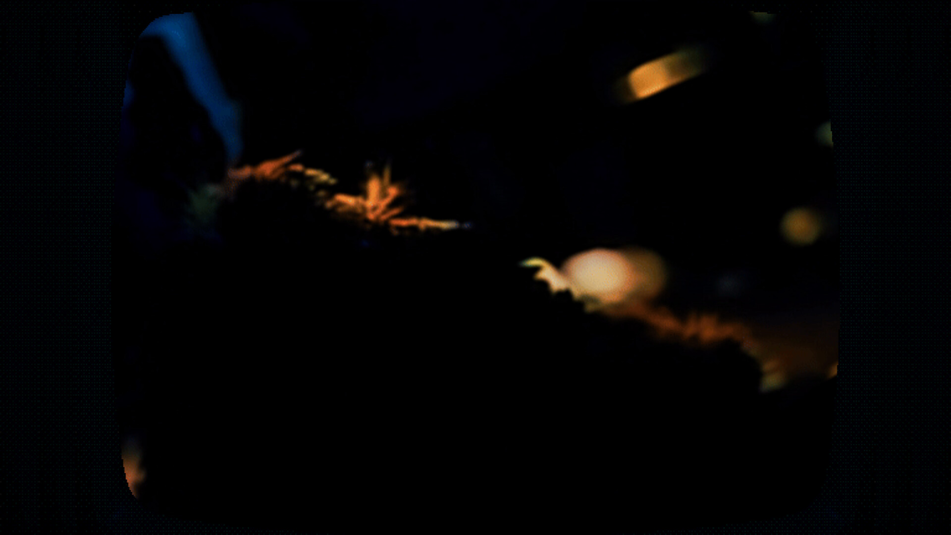 Cat Got Your Tongue screenshot 3
