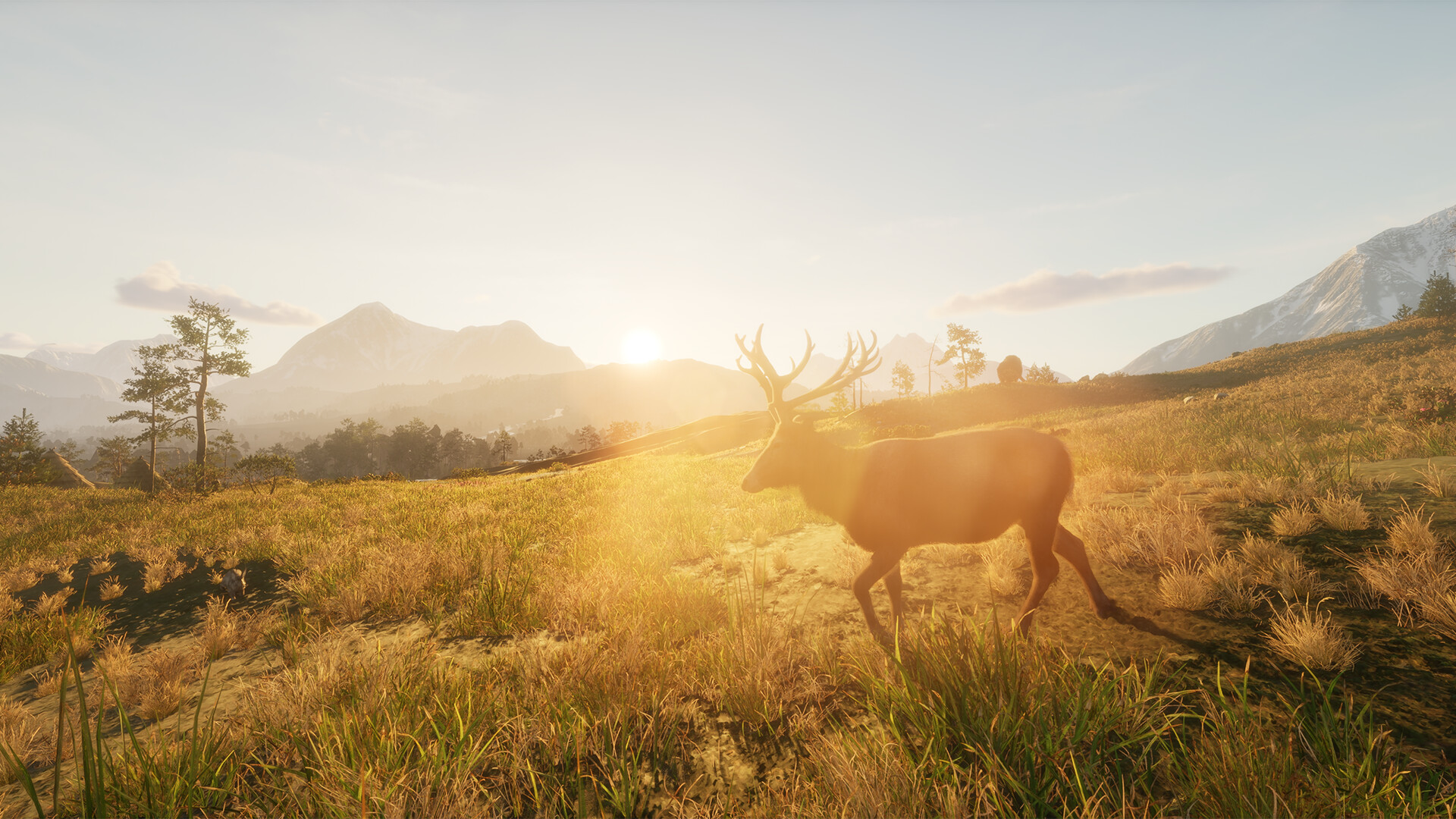 Primal Survival Wars screenshot 11