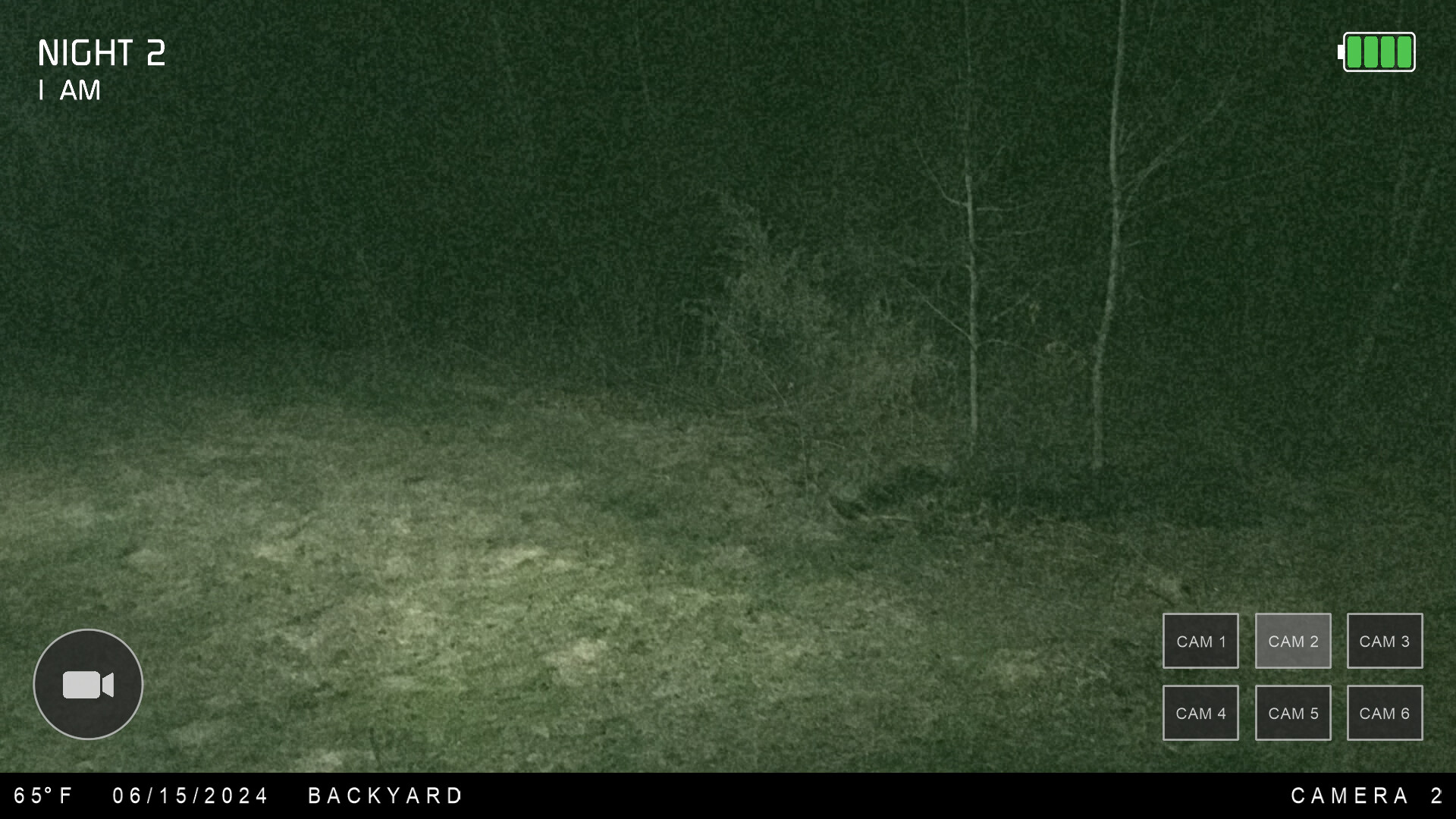 Night at the Cabin screenshot 2