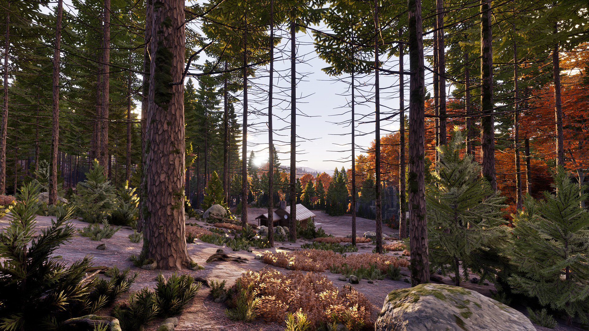 Prologue: Go Wayback! screenshot 4