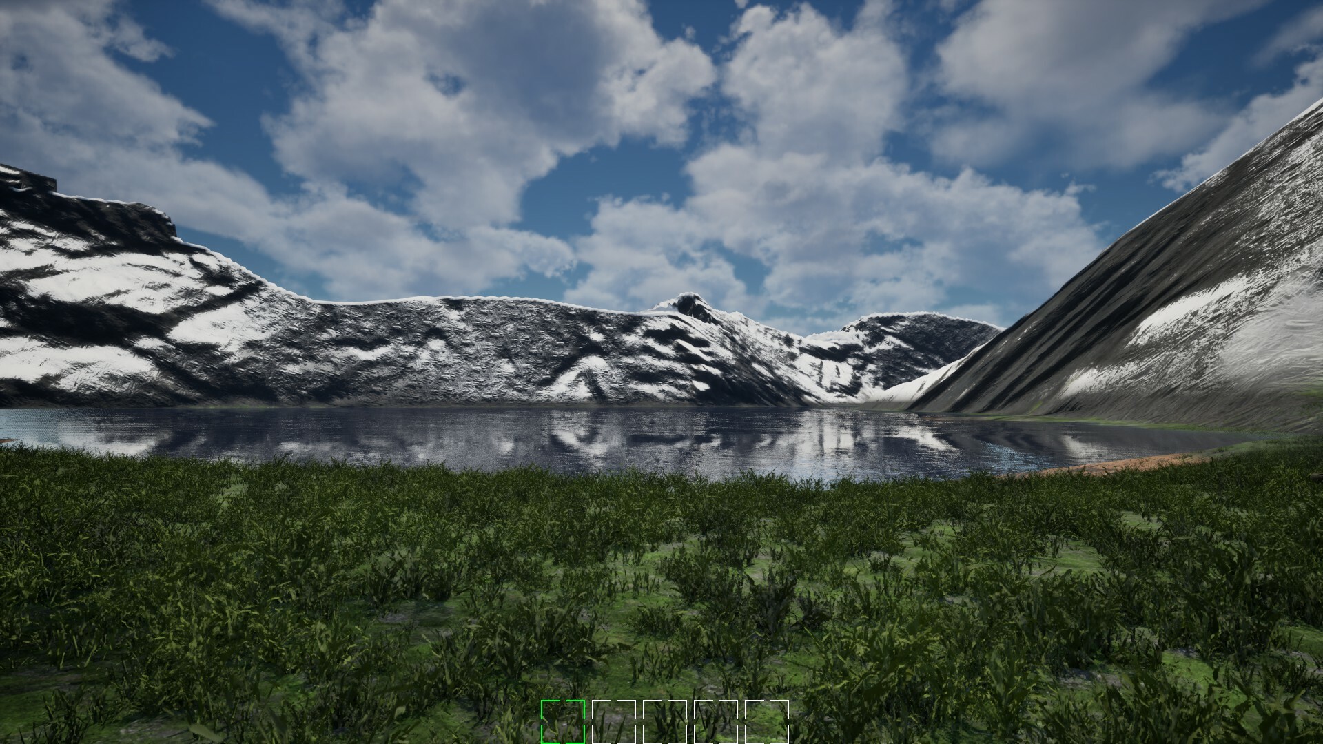 Mushroom Selection 2 screenshot 5