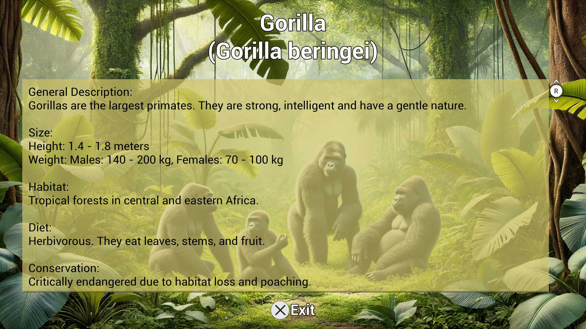 My Life: Zoo Vet screenshot 11