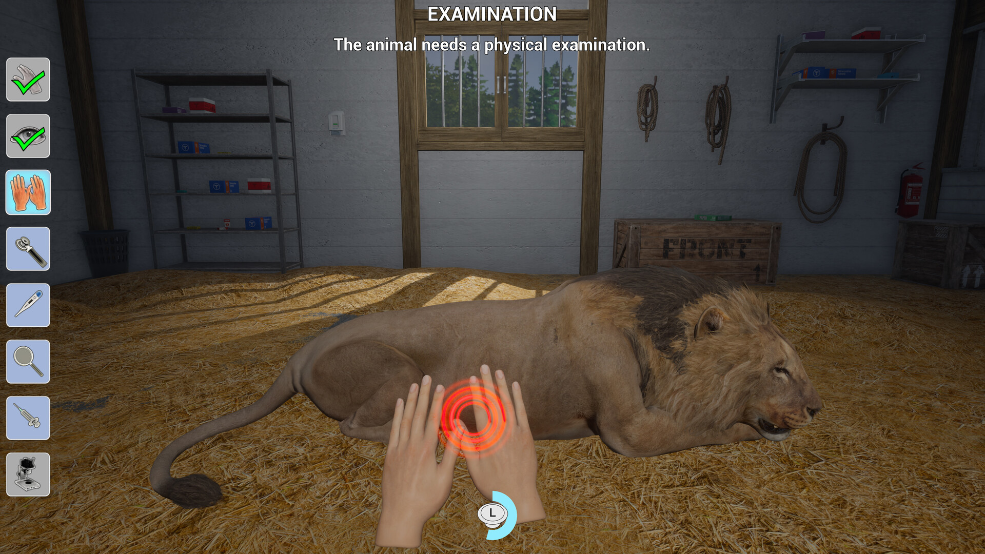 My Life: Zoo Vet screenshot 12