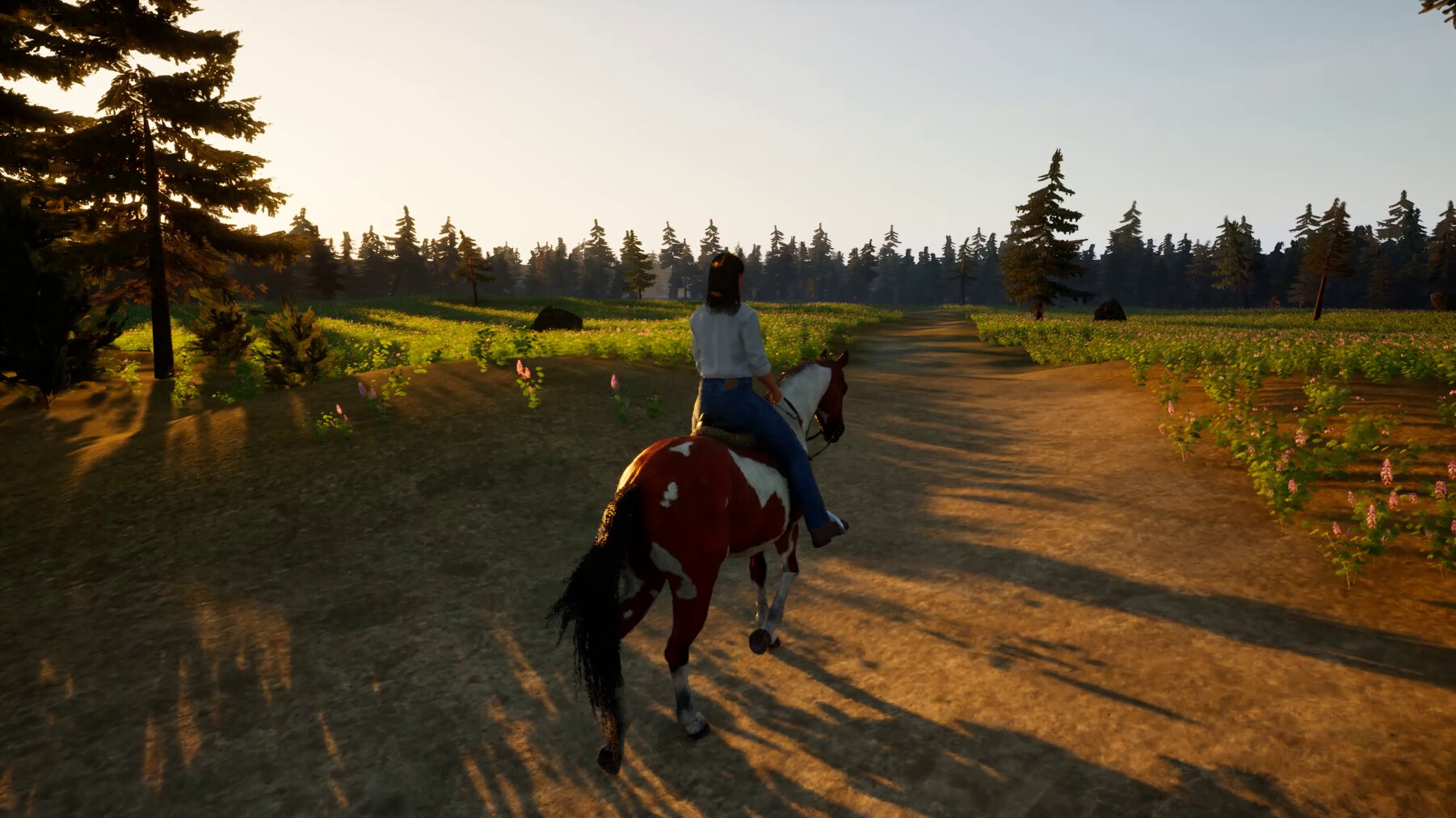 EQUIRE screenshot 1