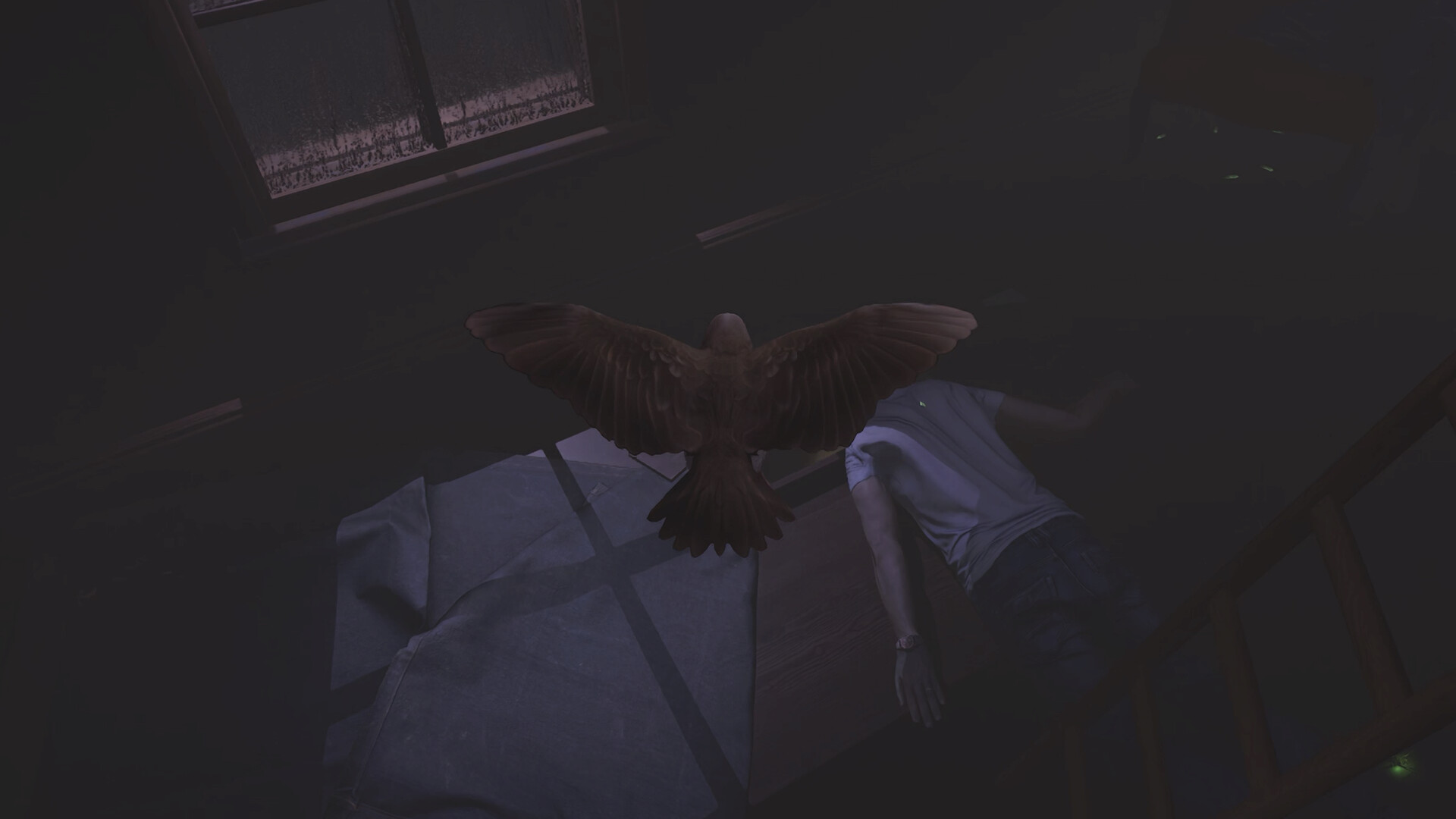 SPARROW screenshot 3