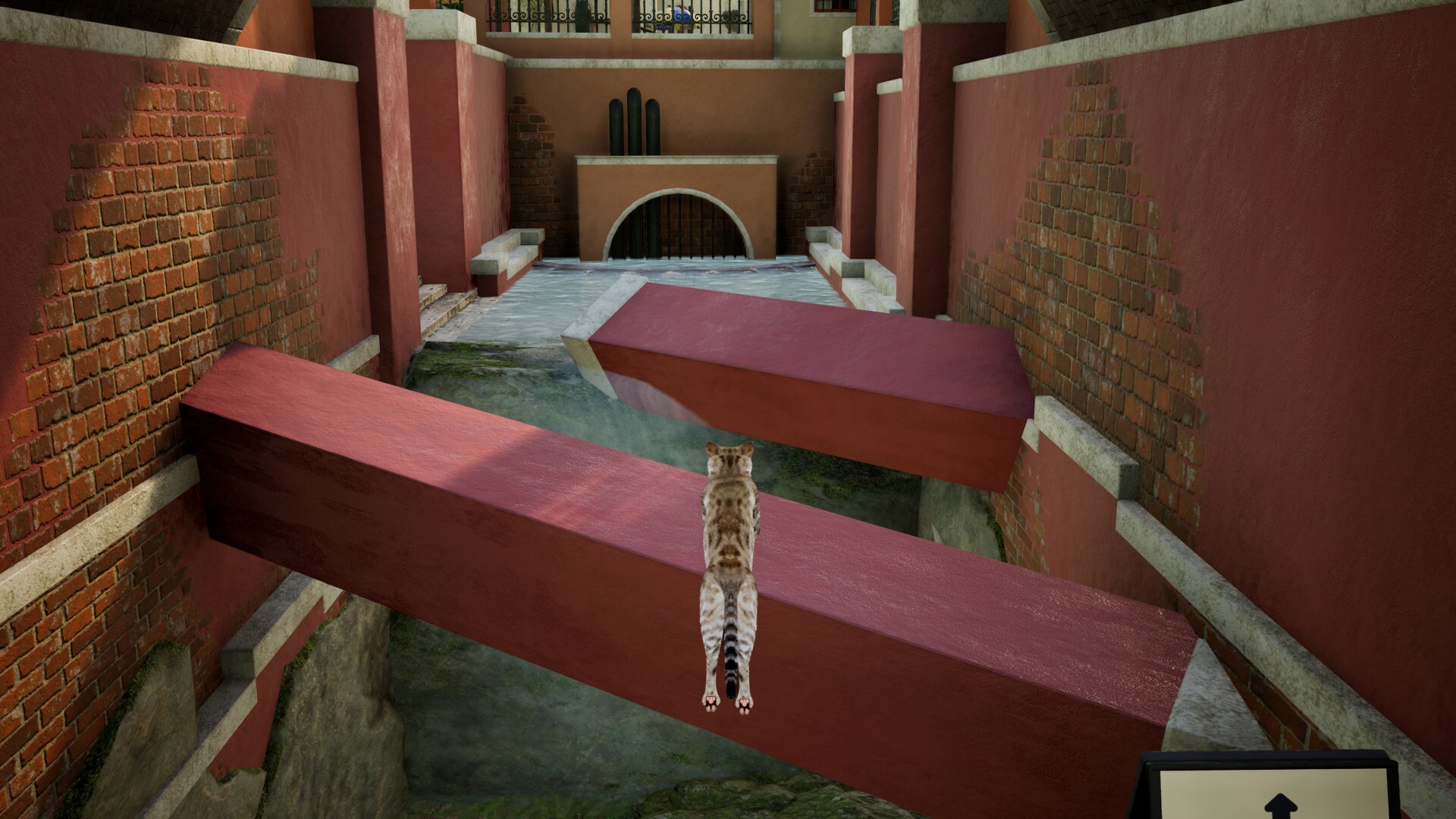 Curiosity: A Cat Climbing Game screenshot 1
