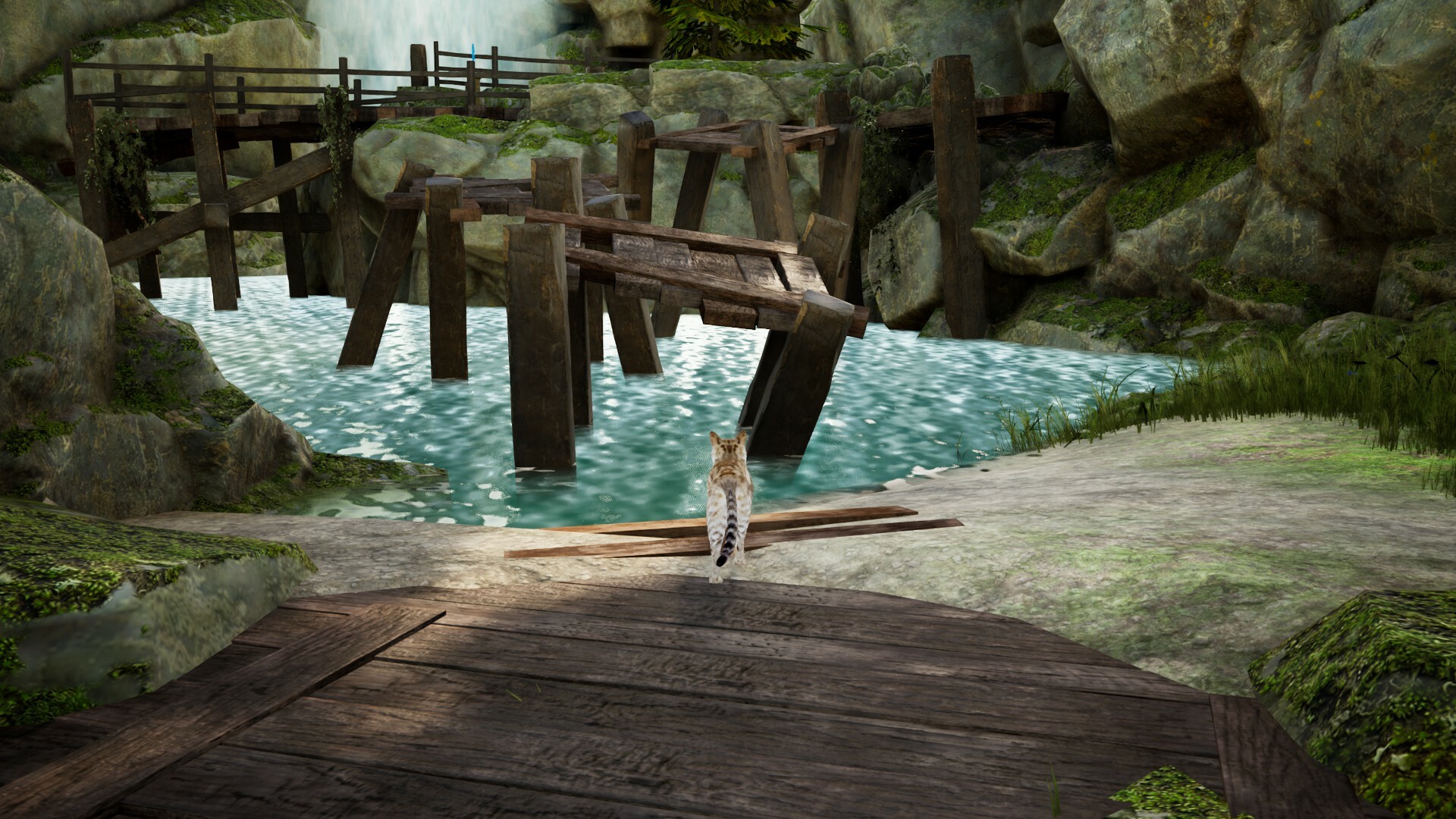 Curiosity: A Cat Climbing Game screenshot 5
